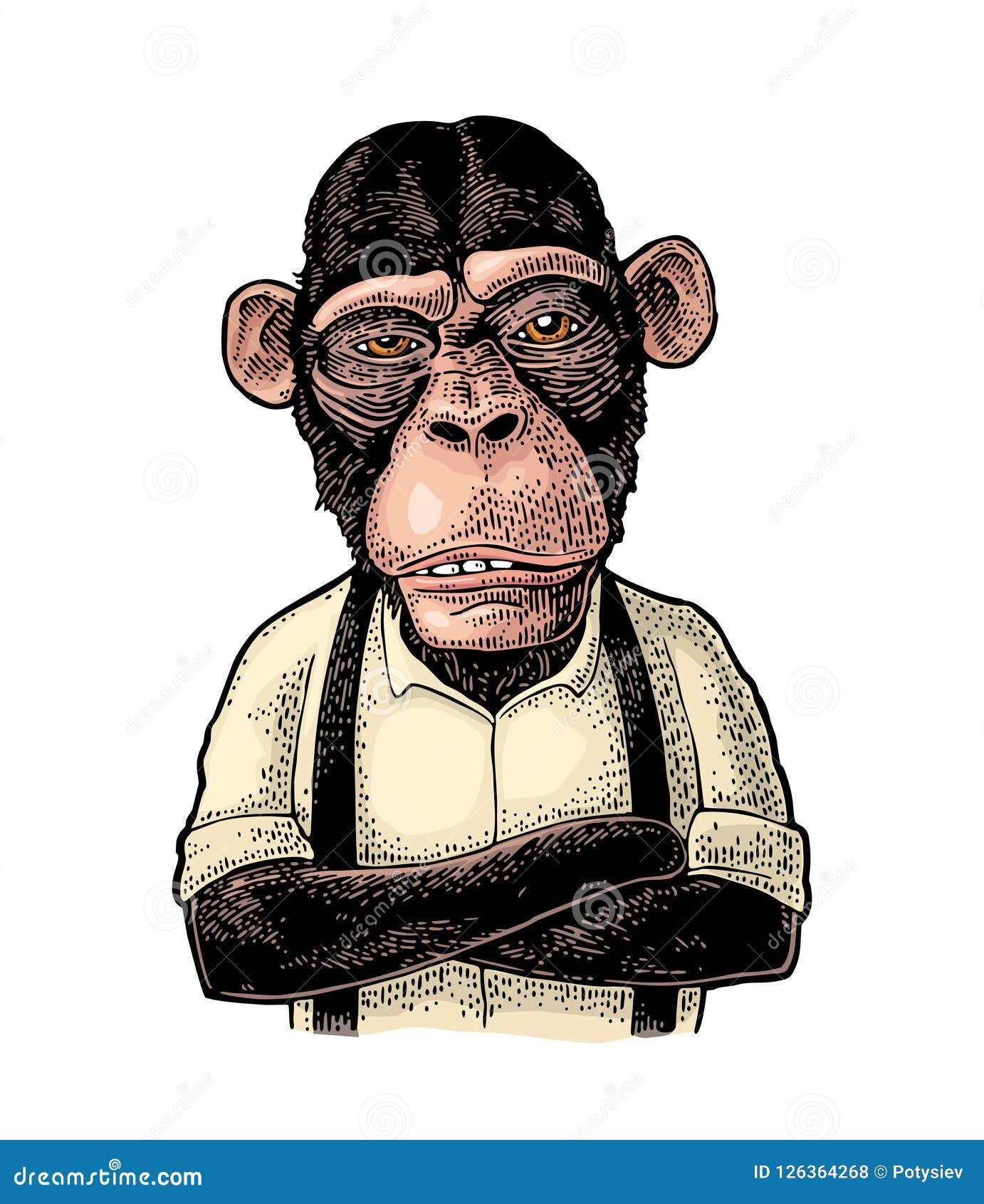 Hombre De Negocios Del Mono En La La Liga Grabado Negro Del Vintage Ilustración del Vector - Ilustración de colorido, chimpancé: 126364268