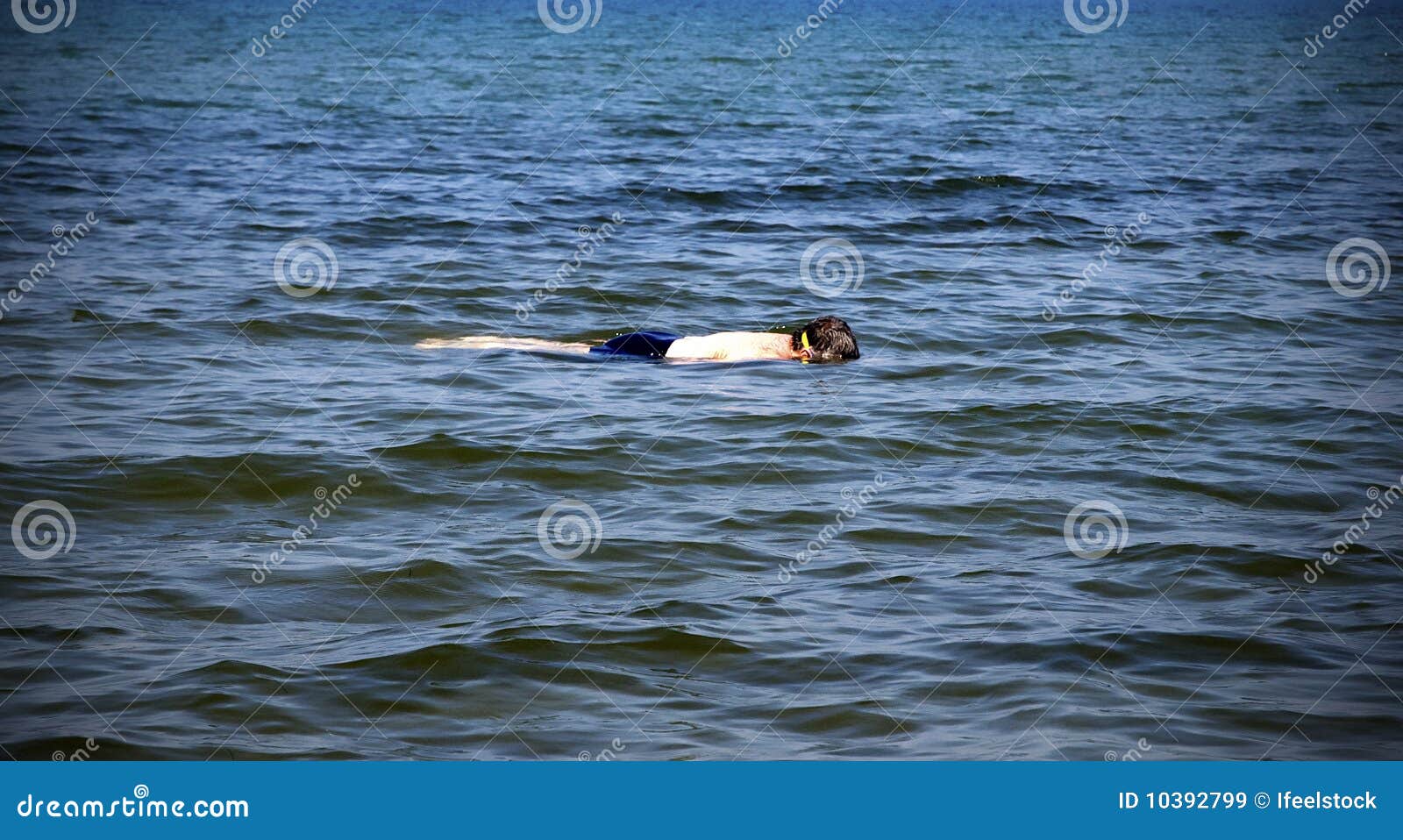Hombre que bucea imagen de archivo. Imagen de zambullidor 10392799