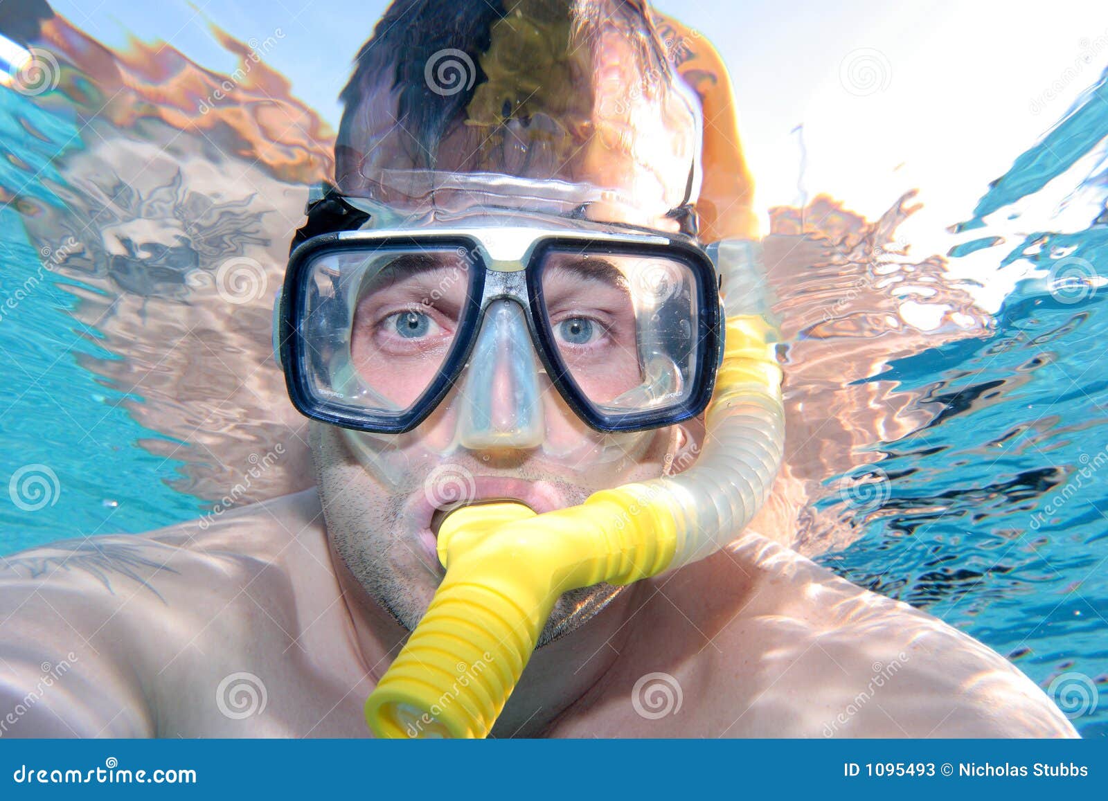 Hombre Que Bucea En Una Piscina Imagen de archivo Imagen de piscina