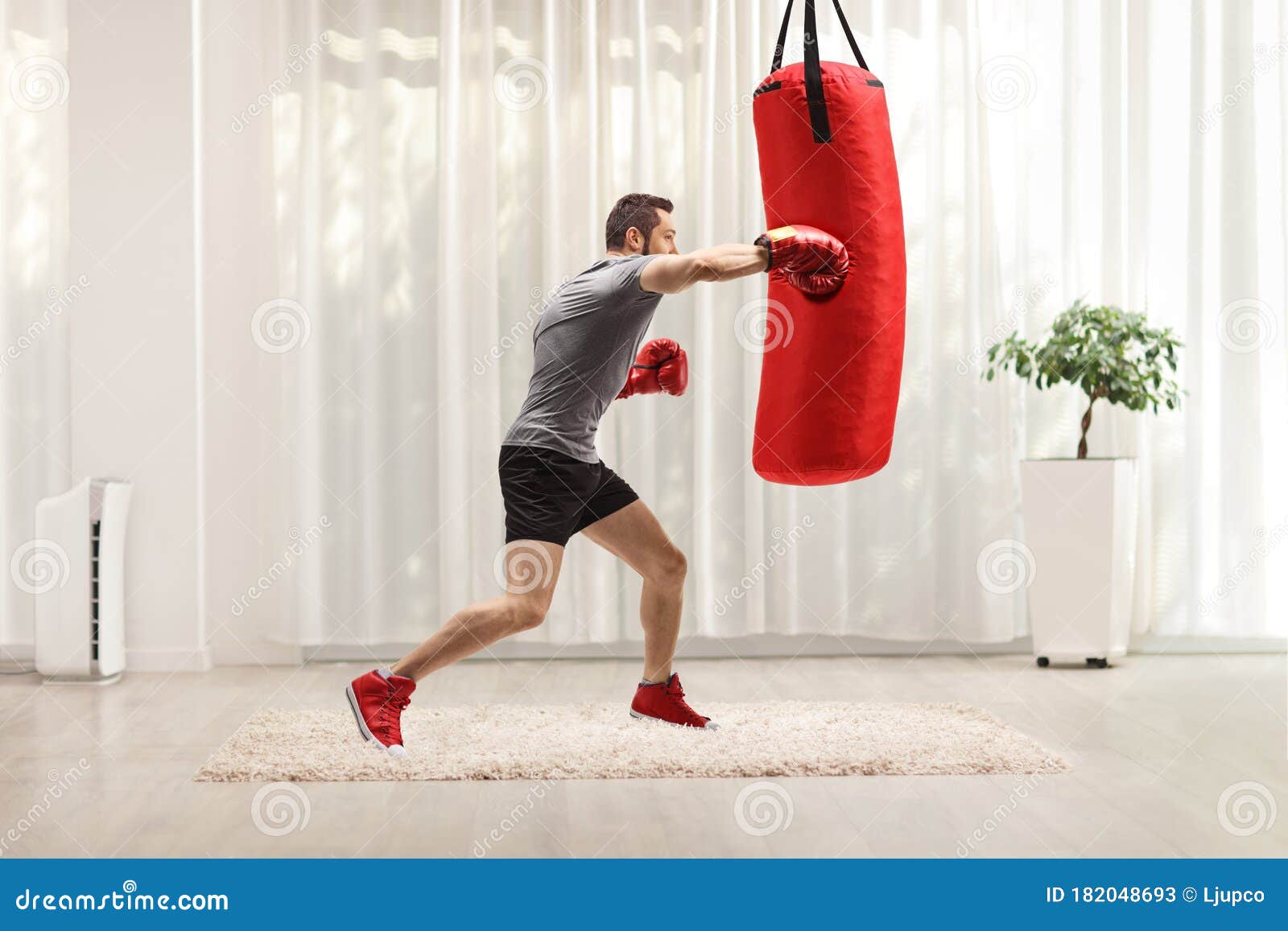 Hombre Saco De Boxeo Con Guantes De Boxeo En Casa Imagen de archivo -  Imagen de atleta, boxeador: 182048693