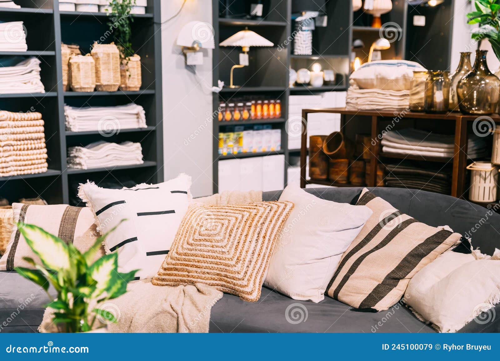 Home Accessories and Household Products in Store of Shopping Centre. View  of Home Accessories for Living Room in Shop Stock Image - Image of display,  retail: 245100079