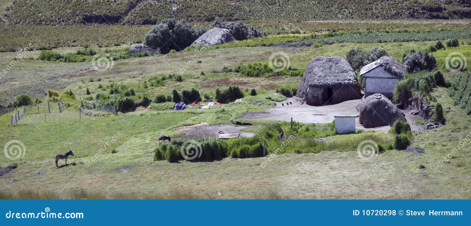 Home in the Andes stock photo. Image of mountains, thatched 10720298