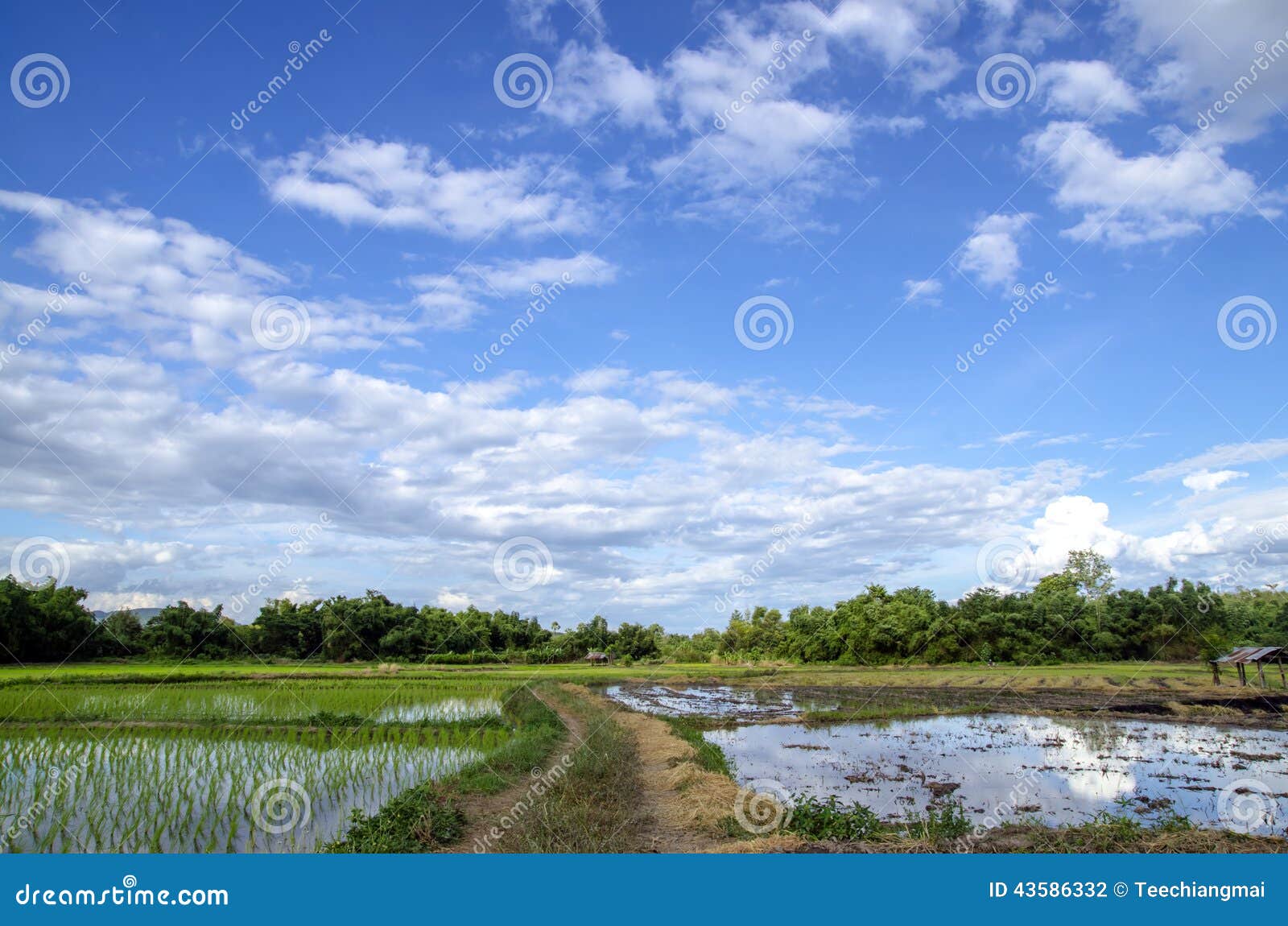 Home in with blue sky stock photo. Image of photographs 43586332
