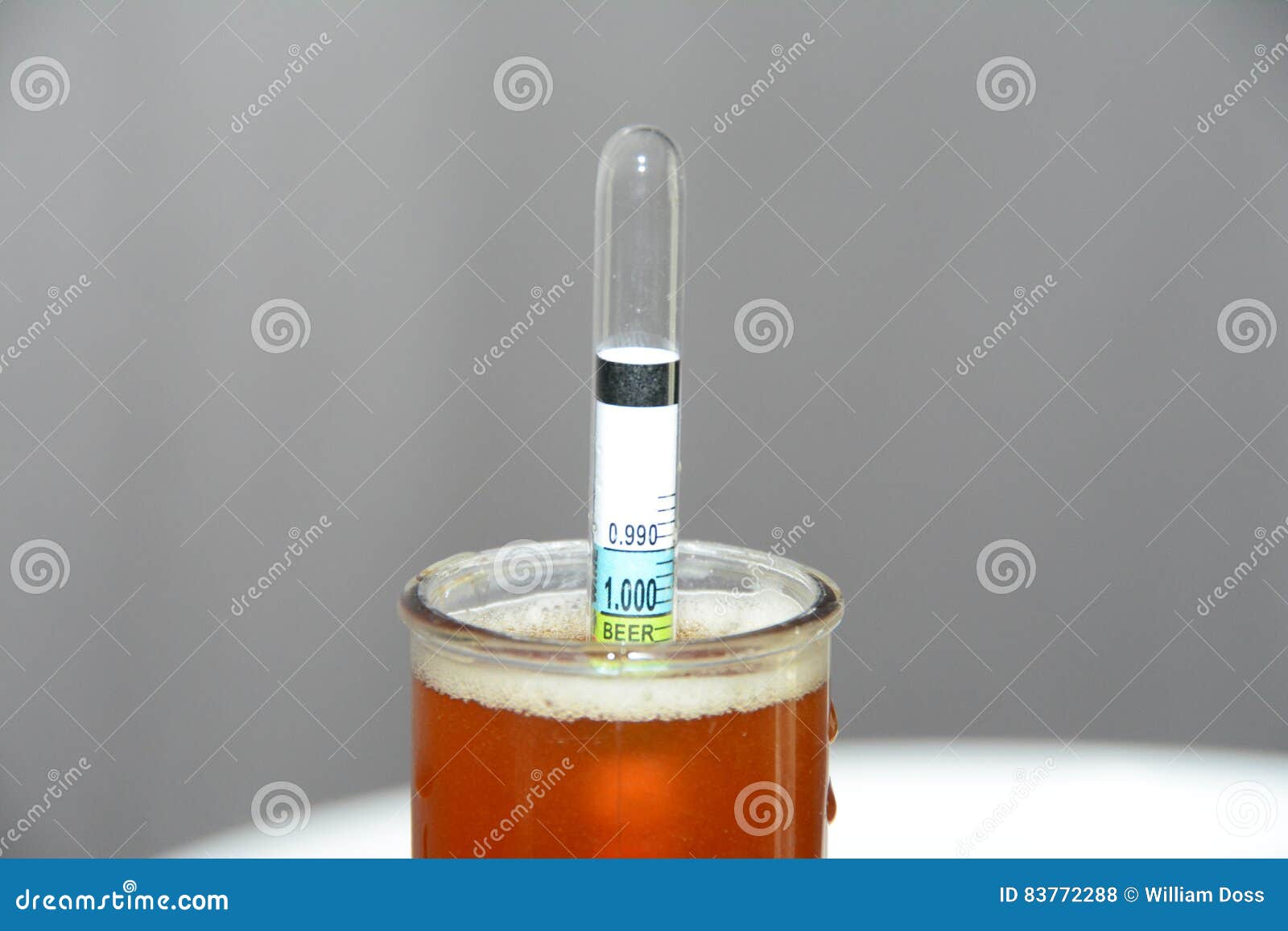 Home brew hydrometer stock photo. Image of bottle, liquid 83772288