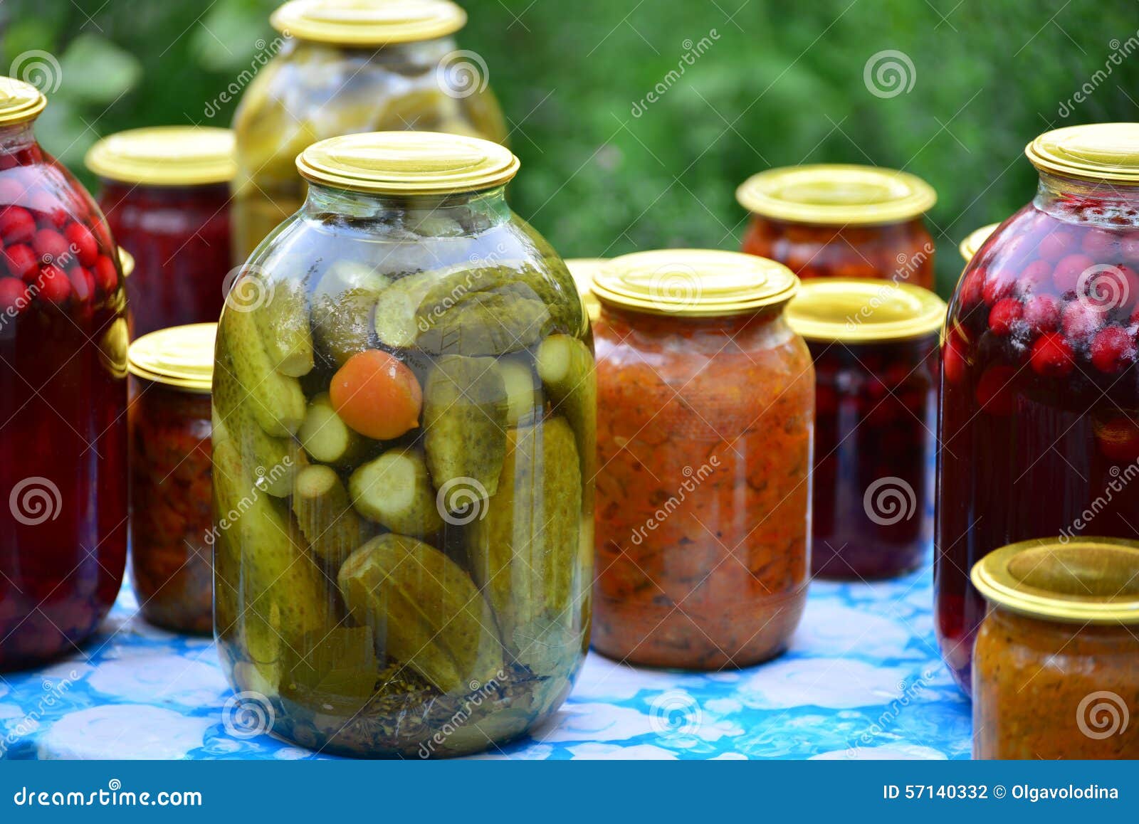 Home Canned Vegetables in the Garden in Summer Stock Photo Image of