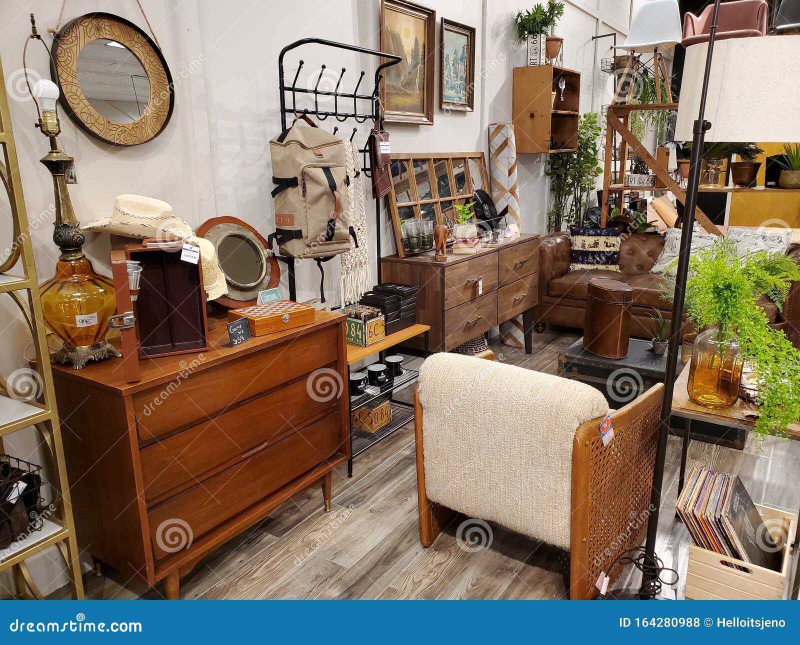 Home Decor Display in Retail Store Editorial Stock Photo Image of