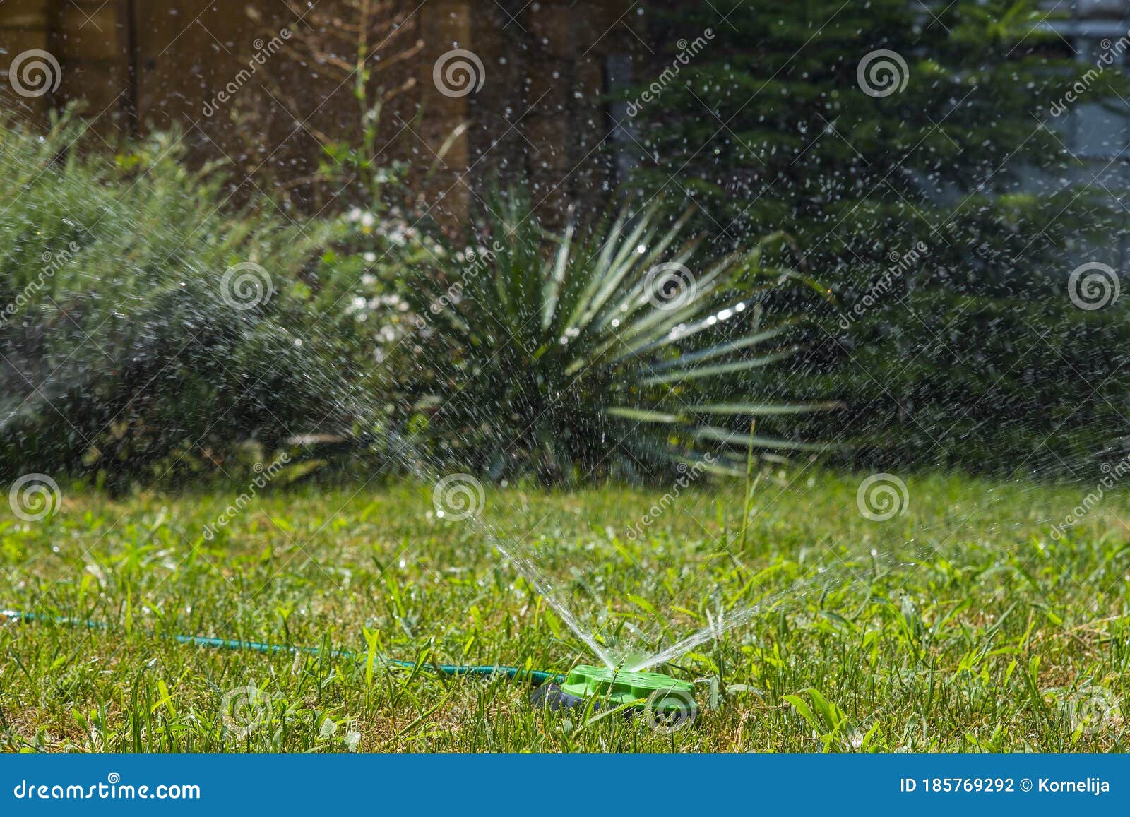 garden water sprayer