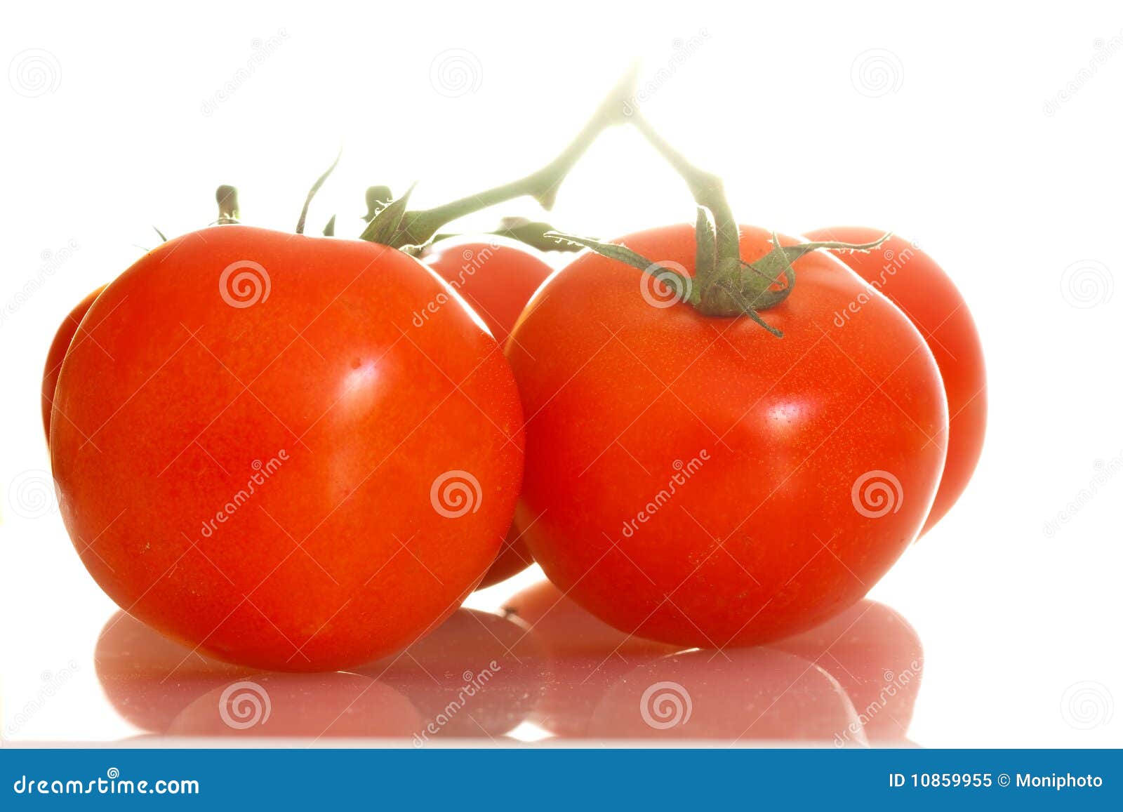 Home Grown Tomatoes on the Vine Stock Image Image of salad, vegetable