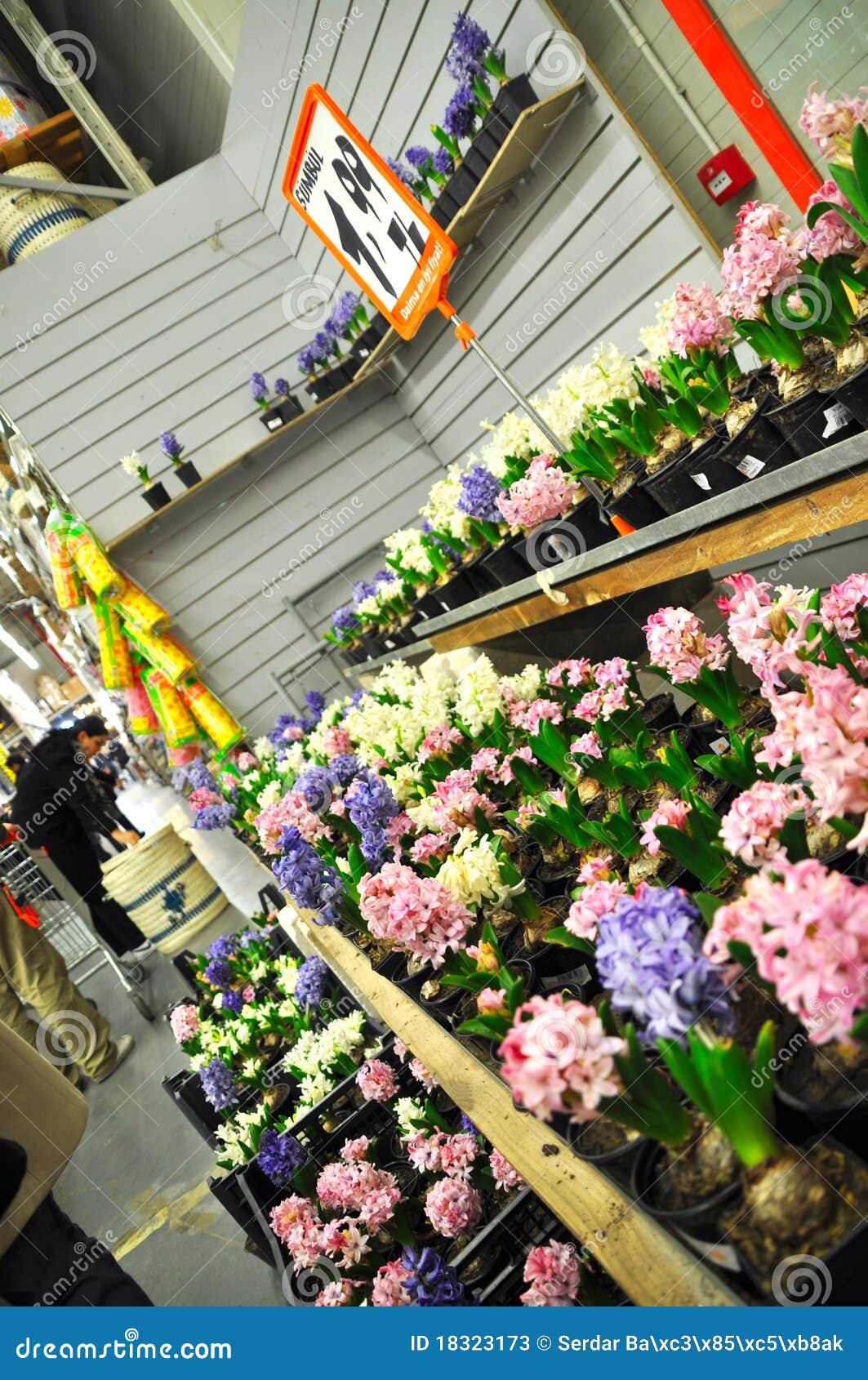 Home improvement store editorial stock photo. Image of grocery 18323173