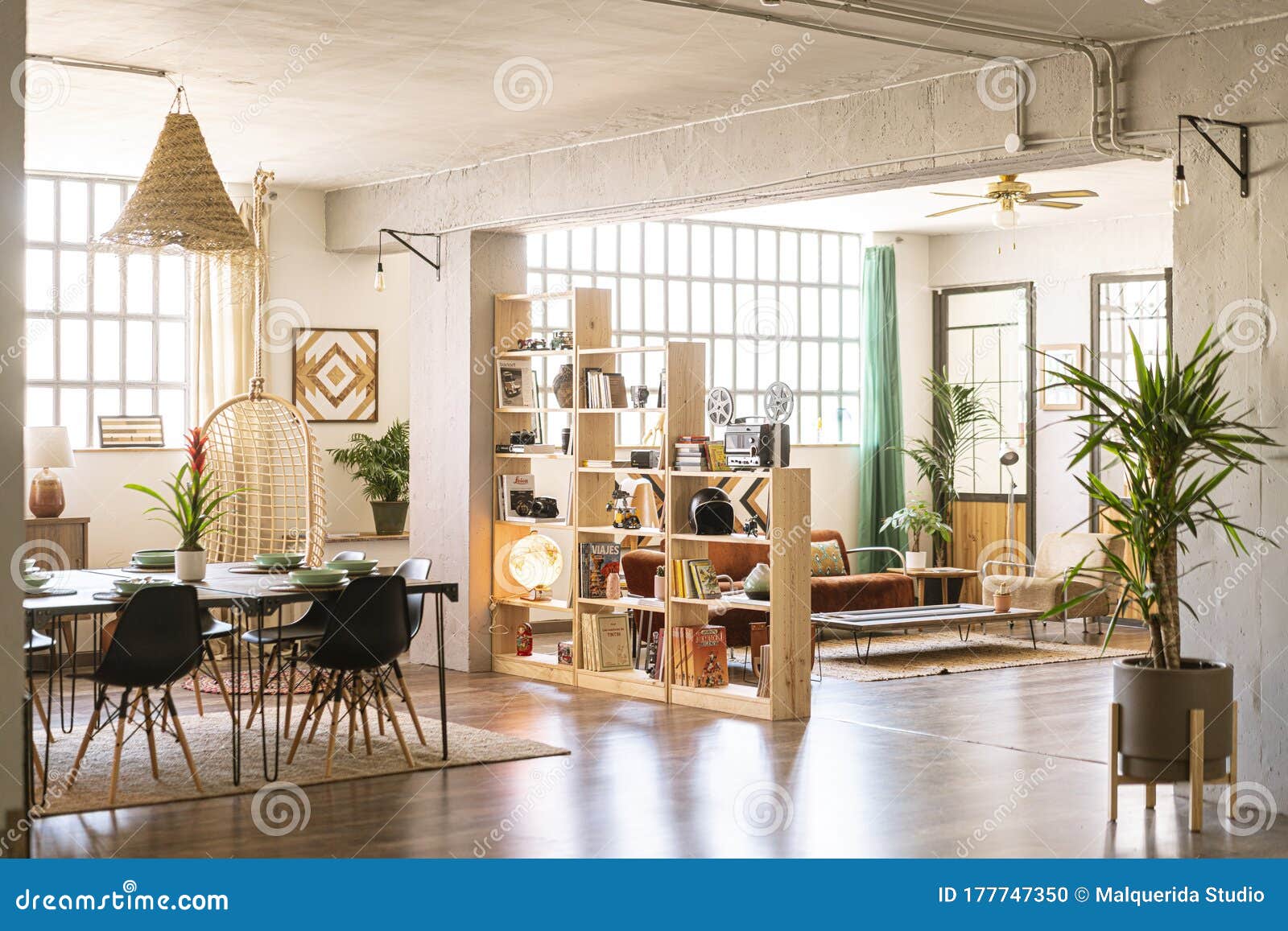 home indoors. open space with living room and dining room in bright industrial loft with green plants.