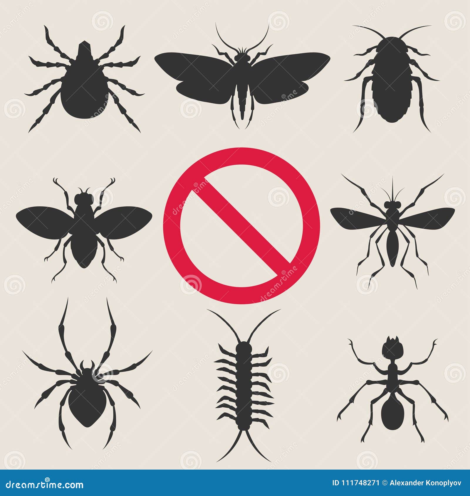 home insect pests
