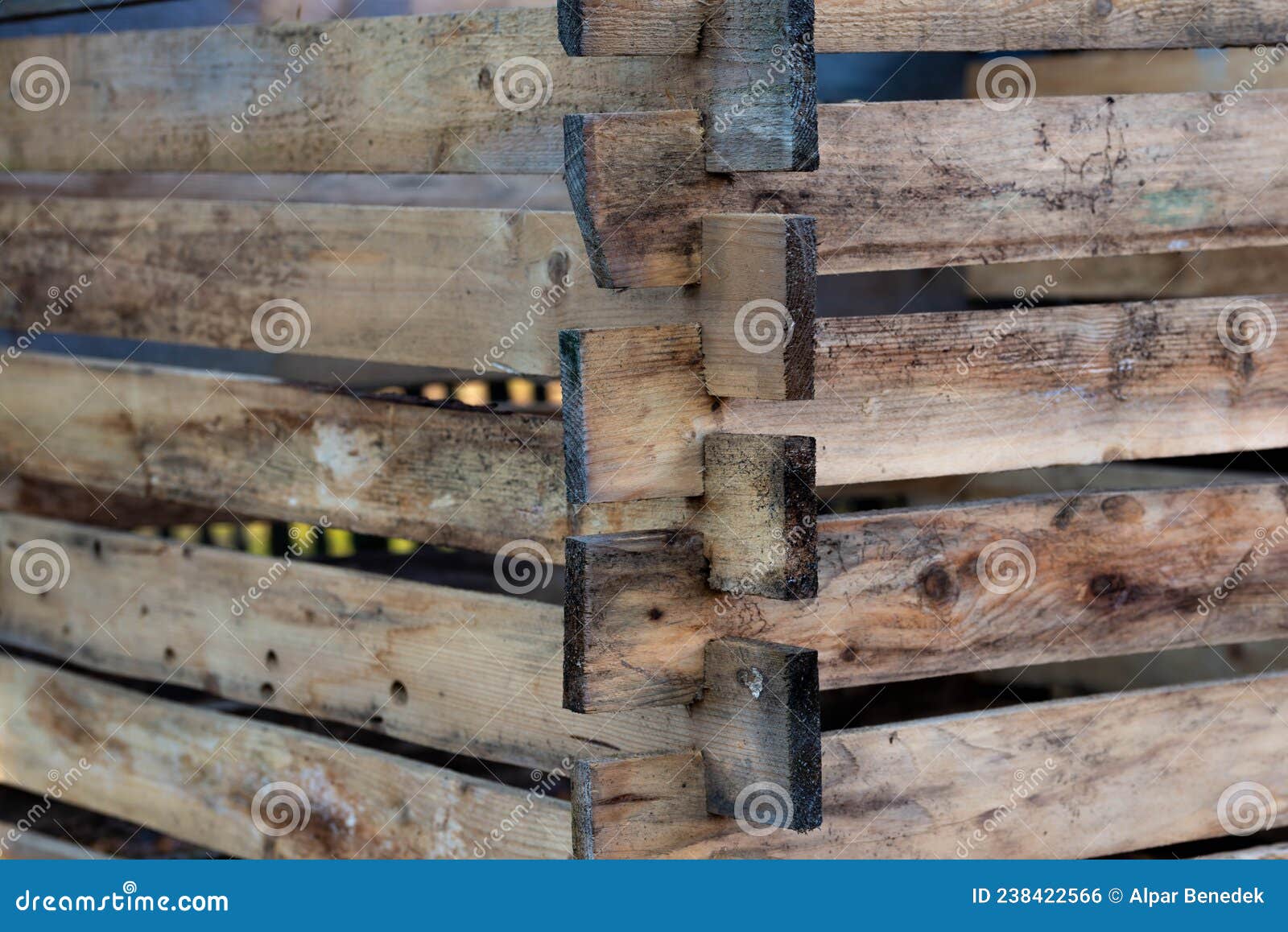 Home Made Pine Wood Box for Composting Stock Photo Image of environment, gardener 238422566
