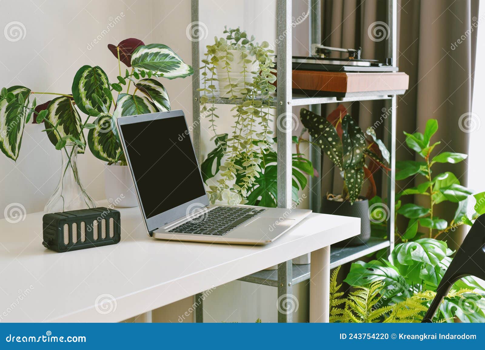 Home Office Decorate with Green Nature Tree Plants, Workspace and ...