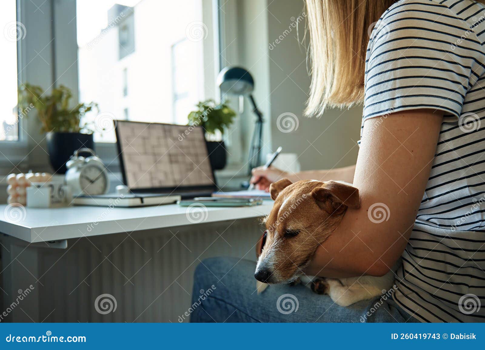Woman Working at Home Office, Use Laptop and Hold Dog on Hands Stock