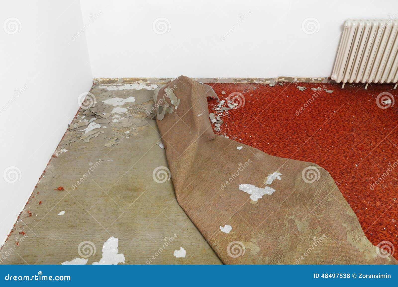Home Renovation, Carpet Remove Stock Photo Image of indoors, home