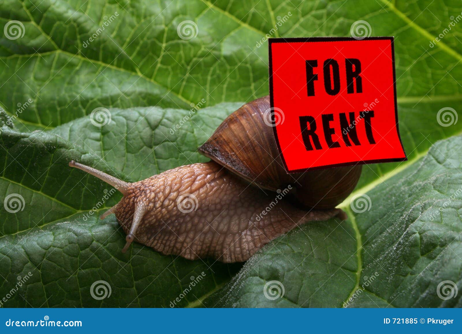 Home for Rent stock image. Image of motivation, hurry, fast 721885