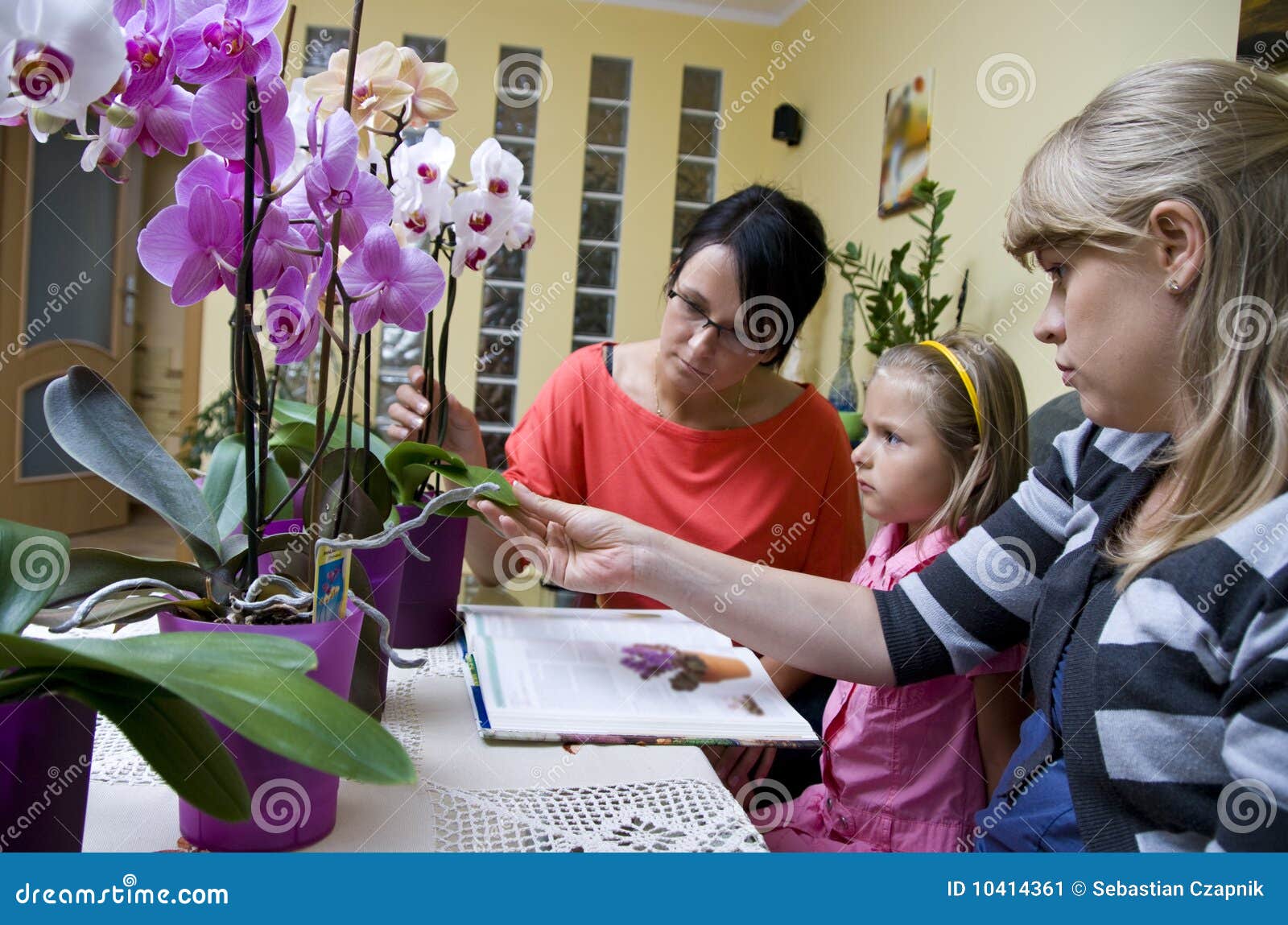 home schooling - flowers