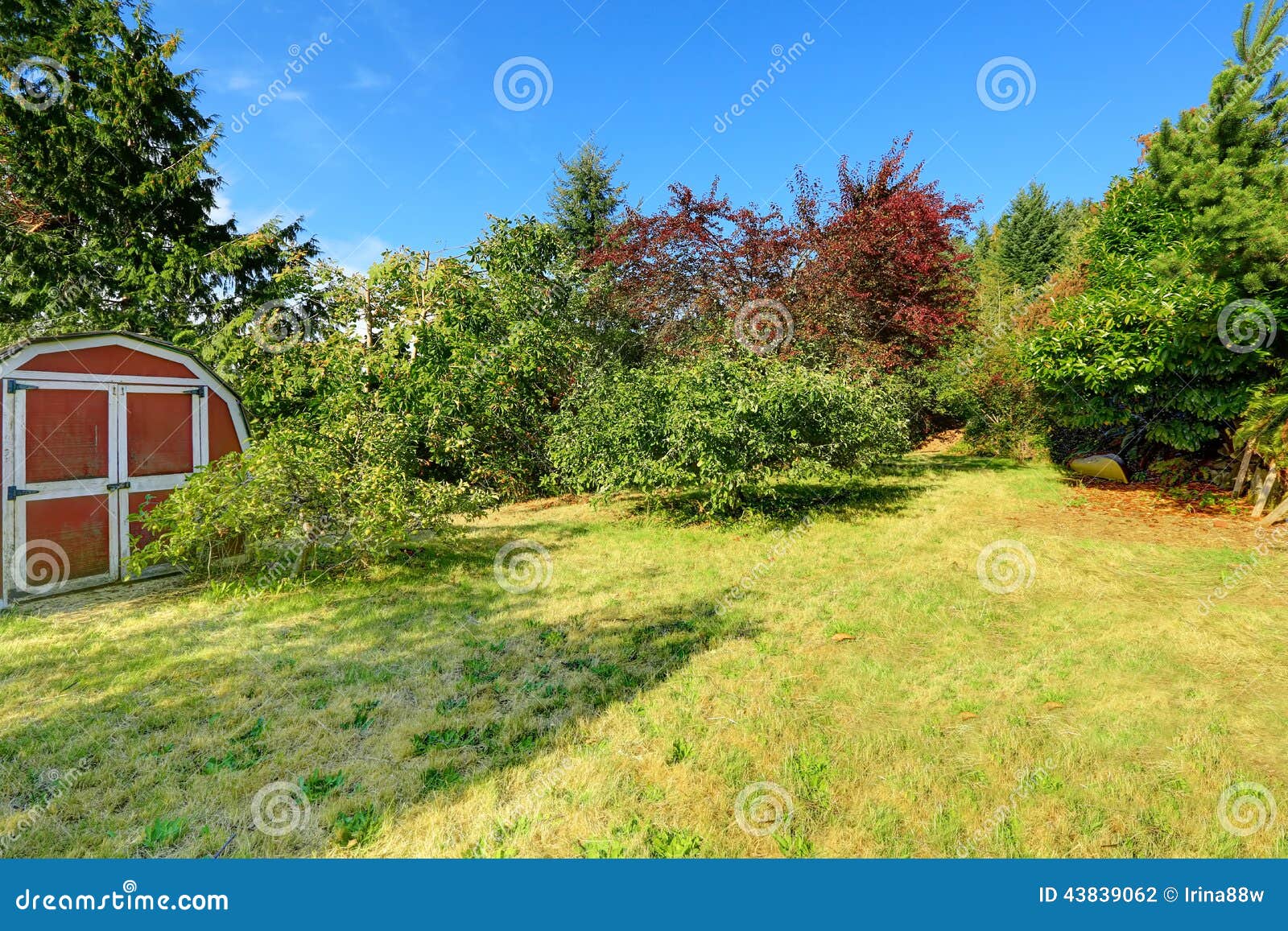 home secret old garden with small shed stock photo - image