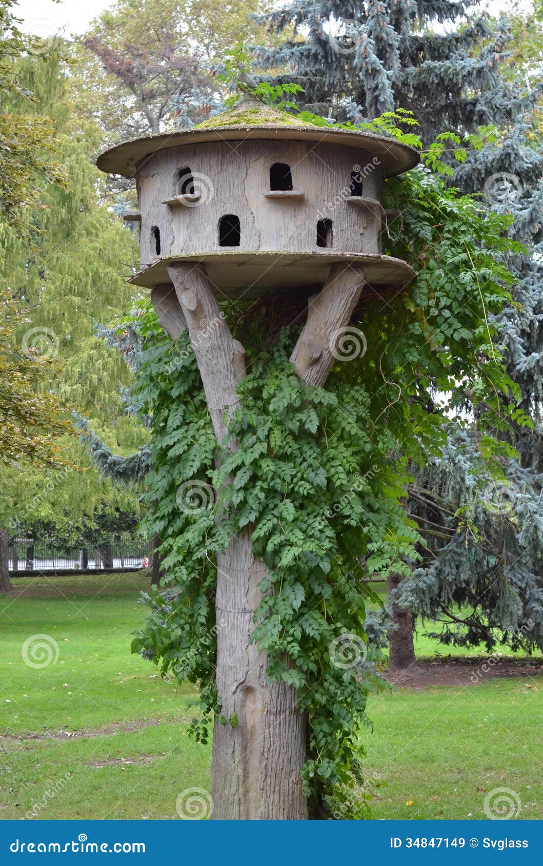 Home for squirrel stock image. Image of deserted, cabin 