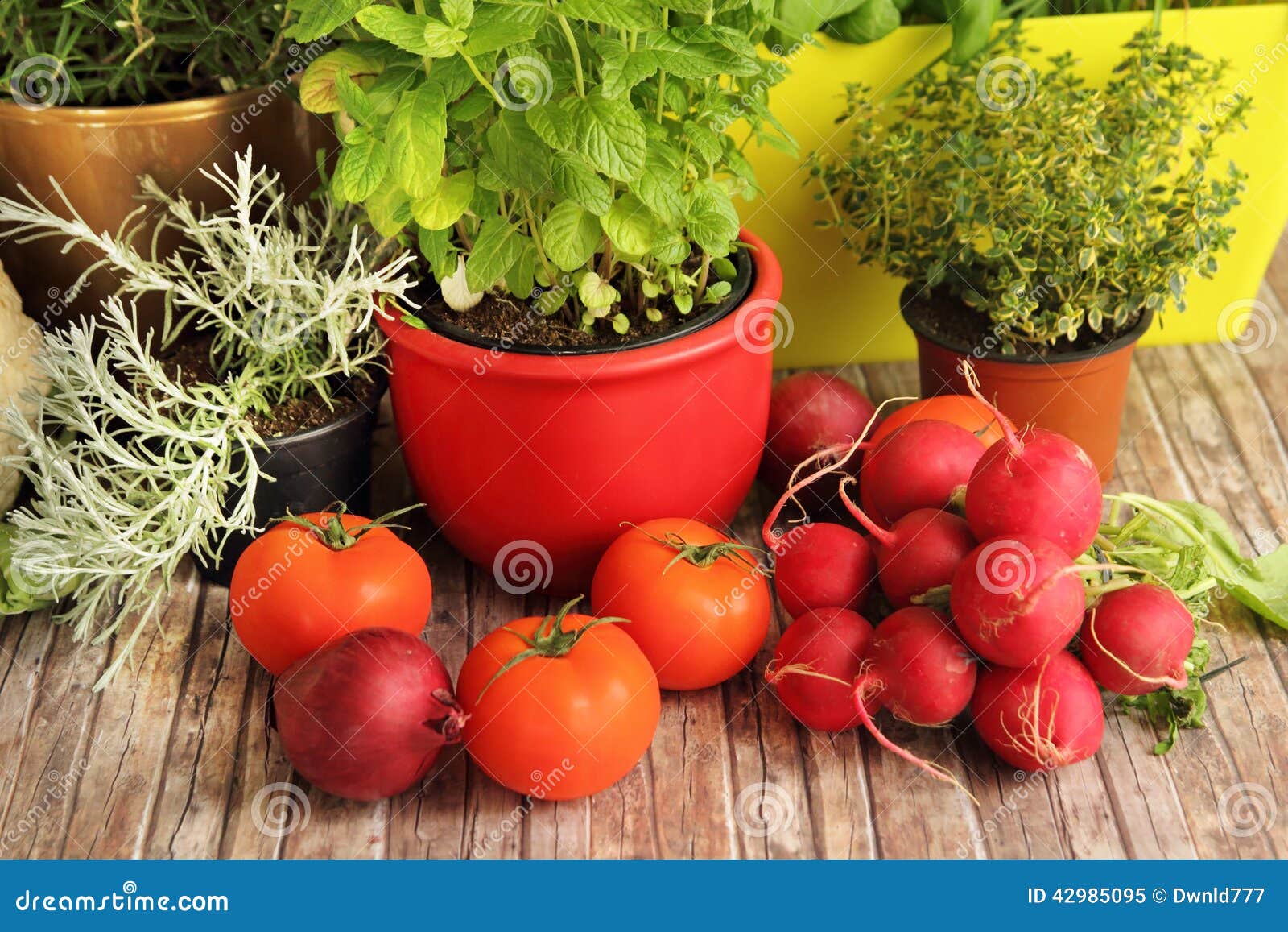Homegrown Herbs and Vegetables Stock Image Image of cooking