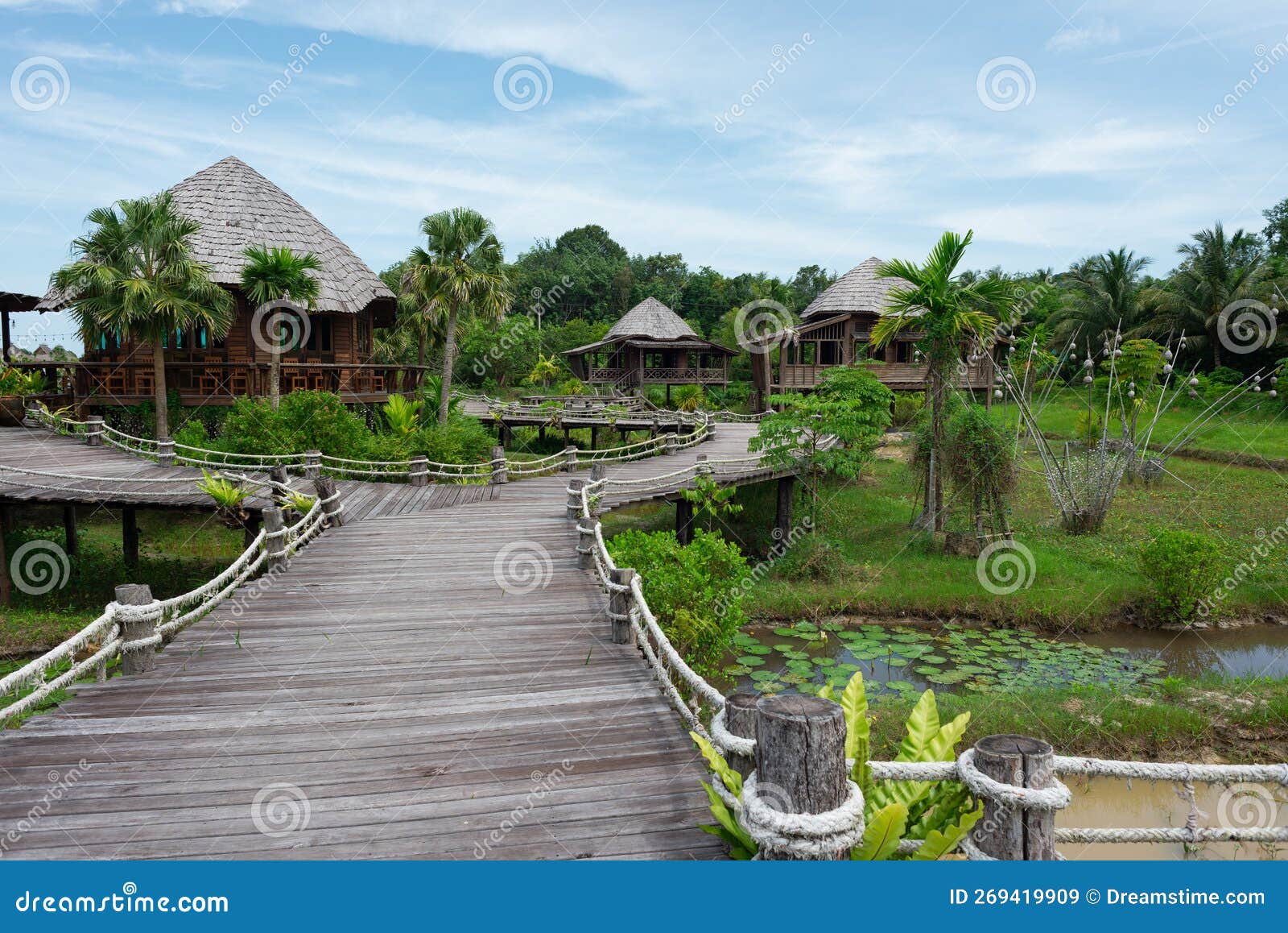 Homegrown Vegetable Garden with Swamp in the Backyard. Stock Image