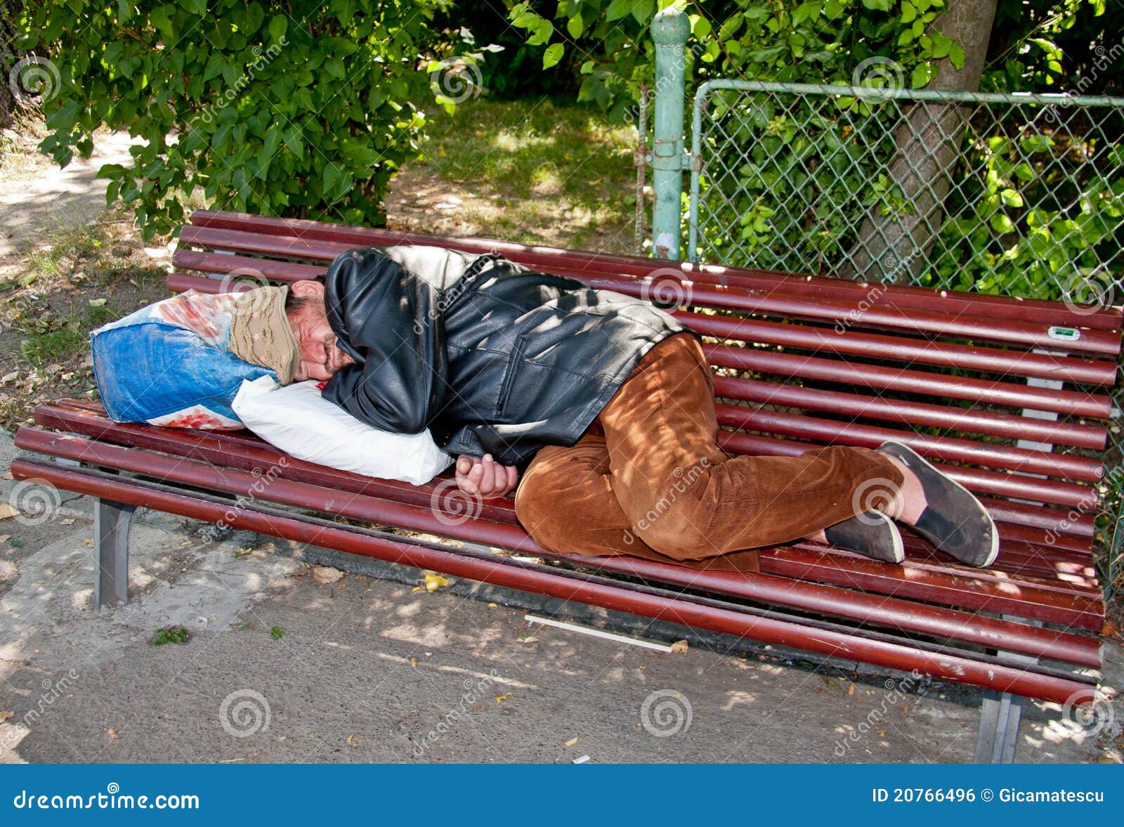 Homeless On The Bench Editorial Photo Image 20766496