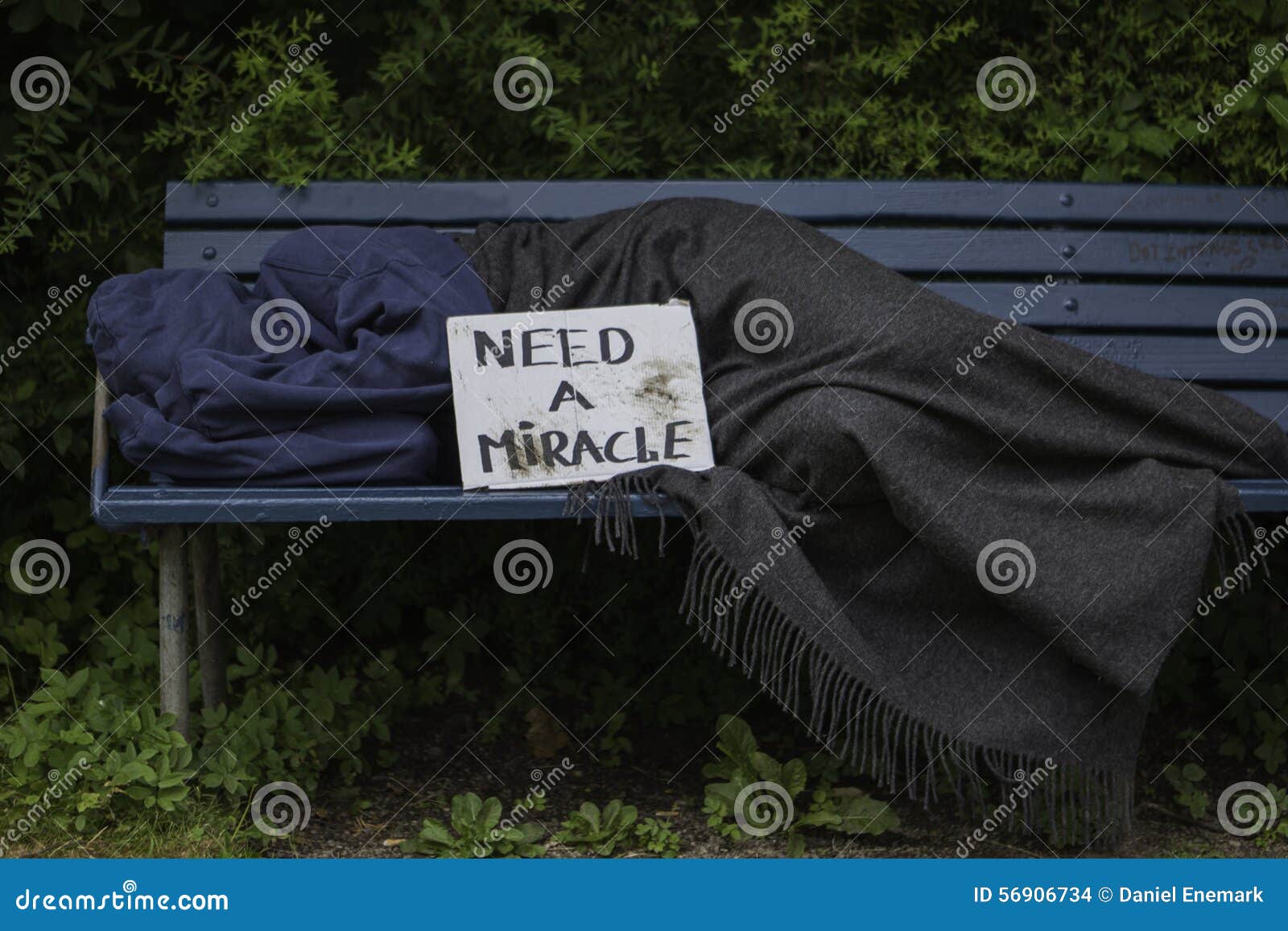 Homeless man on park bench stock photo. Image of lacerated 56906734