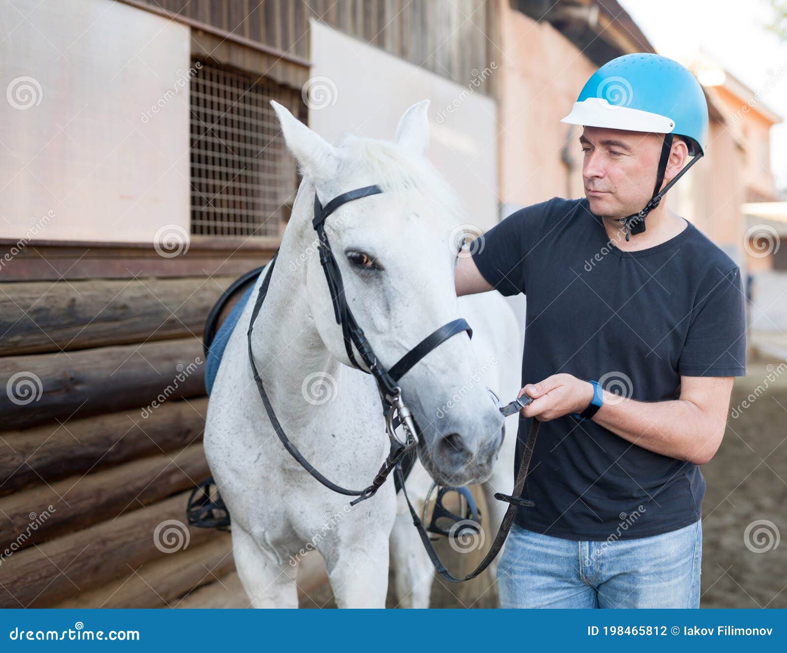 Cavalo Branco Na Frente De Você Que Olha a Você Foto de Stock - Imagem de  você, homem: 75585610