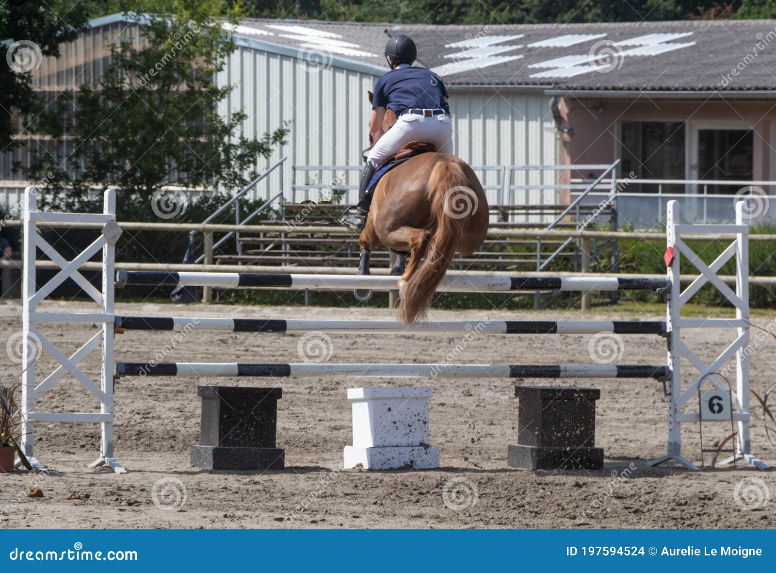 Homem E Cavalo Pulando Uma Cerca Foto de Stock - Imagem de sela, animal:  247580984