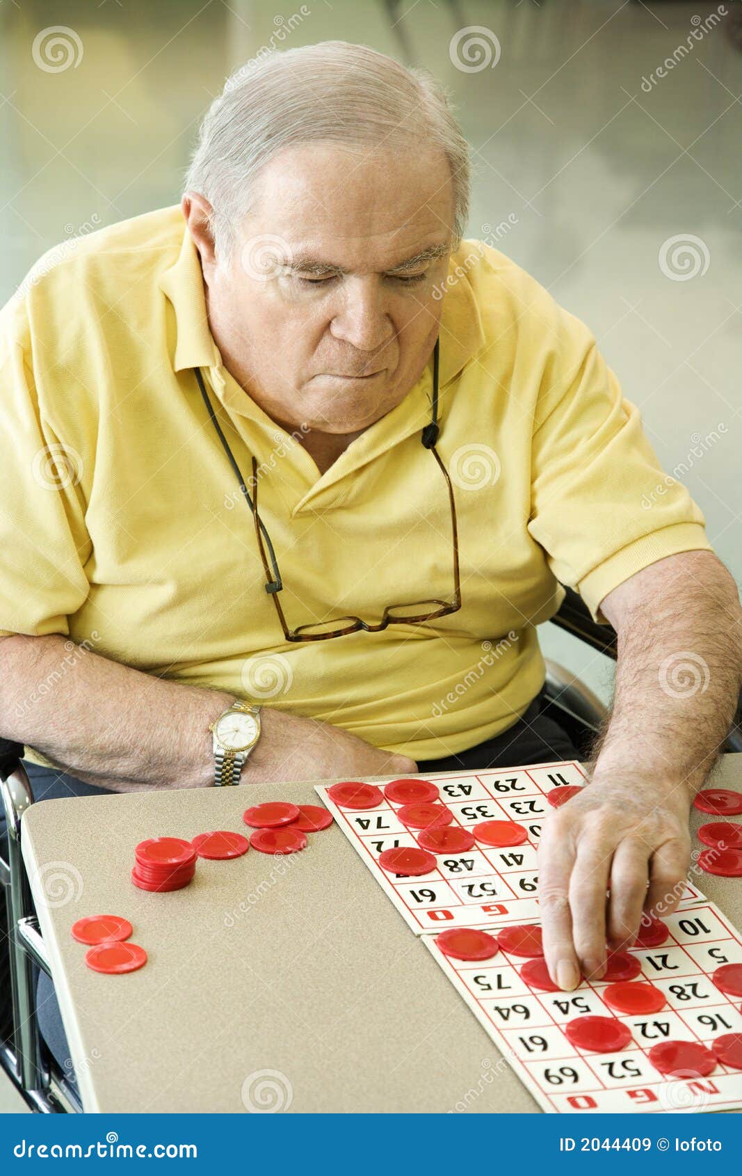 doutor bingo jogar grátis