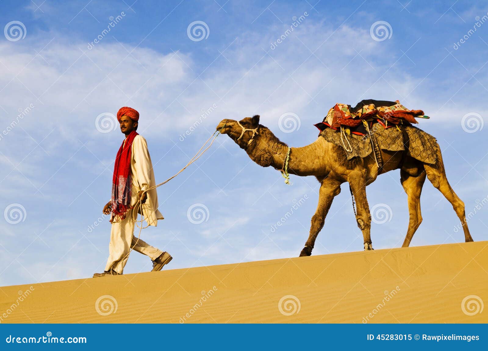 Homem indiano nativo que anda através do deserto com seu camelo