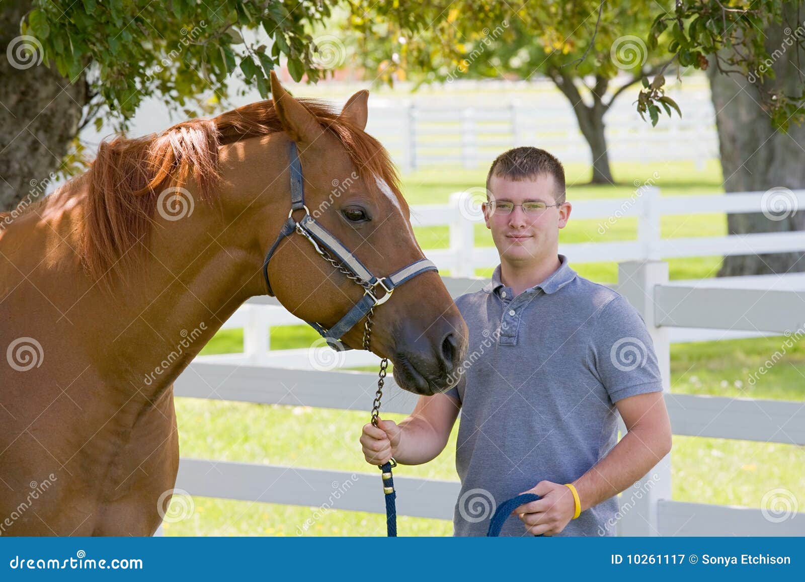 Cavalo Branco Na Frente De Você Que Olha a Você Foto de Stock - Imagem de  você, homem: 75585610