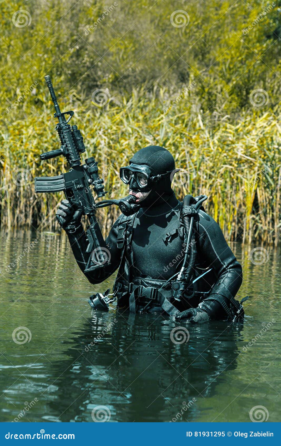 Mergulhador De Elite Da Marinha Imagem de Stock - Imagem de comando,  armado: 81931295, image size:1067x1690
