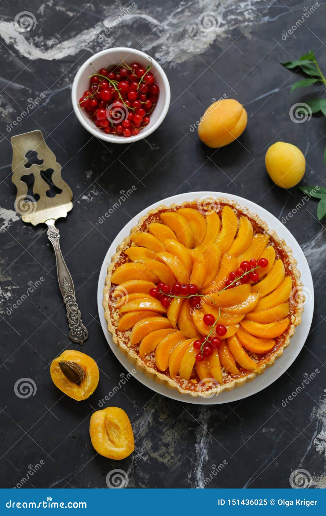 Apricot fruit tart stock image. Image of baked, organic 151436025