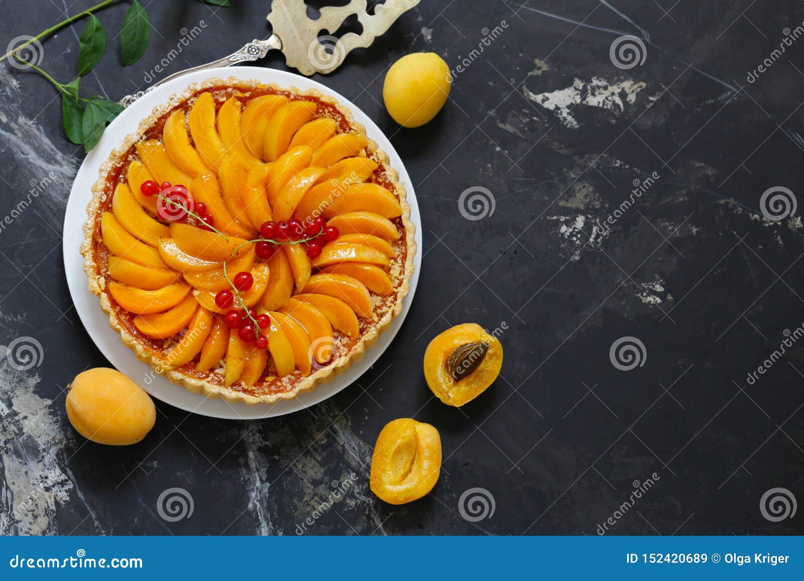 Apricot fruit tart stock image. Image of tart, summer 152420689