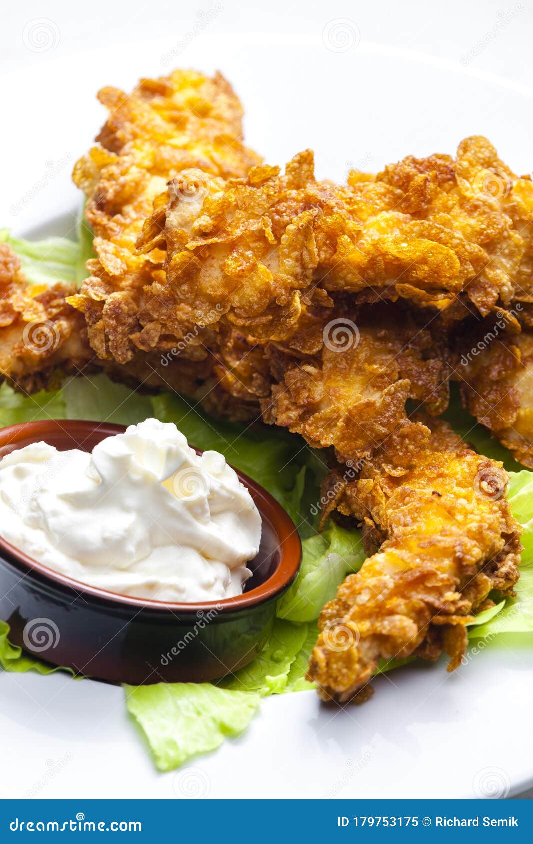 Homemade Chicken Strips with Garlic Dip Stock Image Image of breaded