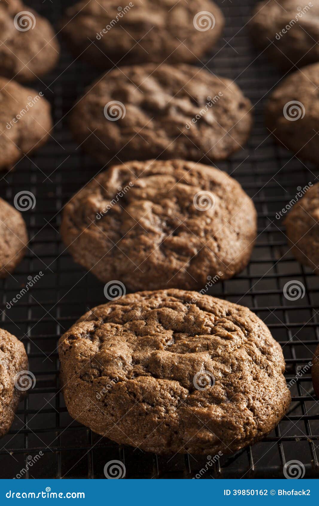 Homemade Double Chocolate Chip Cookies Stock Photo Image of dark