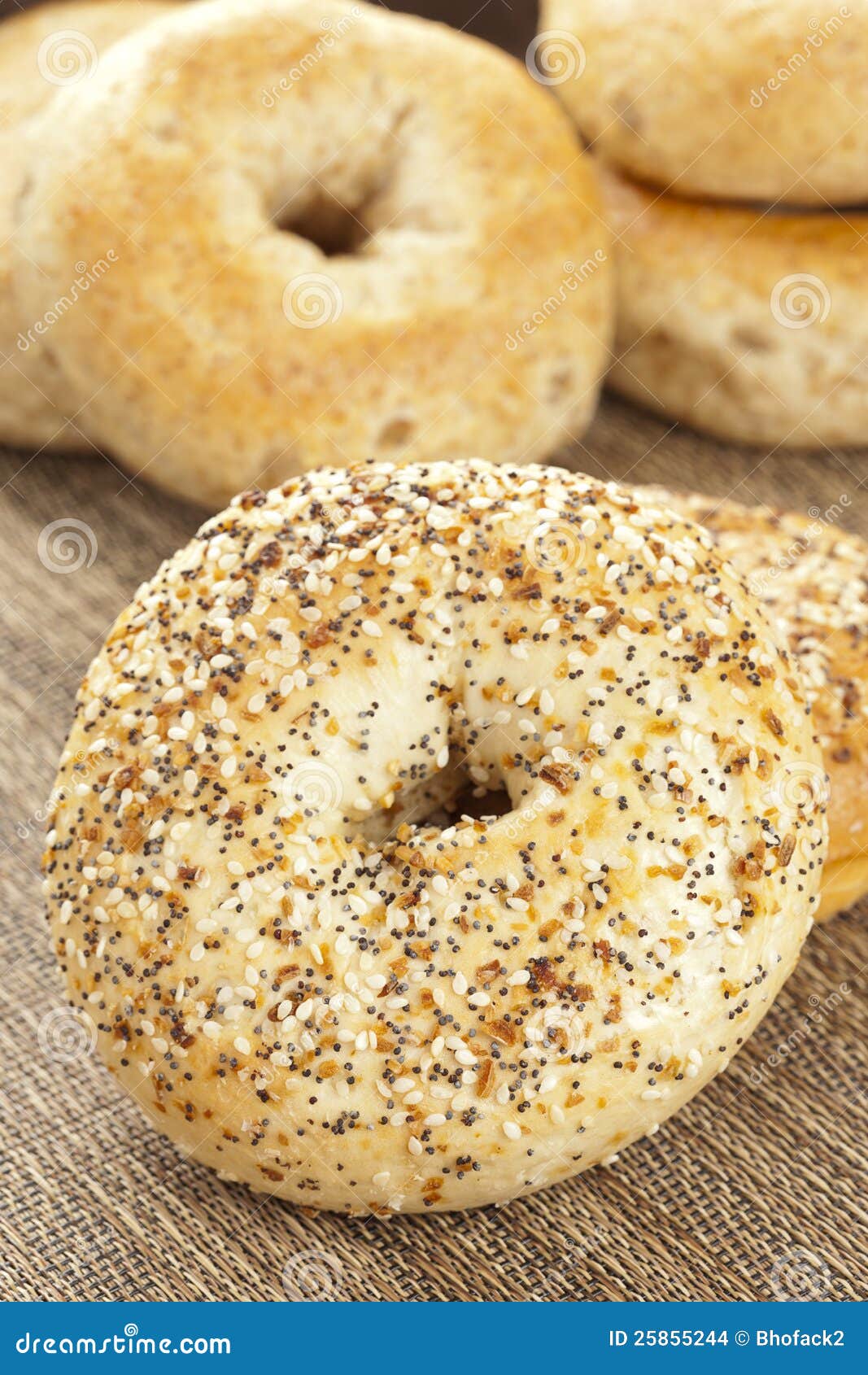 Homemade Fresh Whole Grain Bagel Stock Photo Image of baked, gourmet