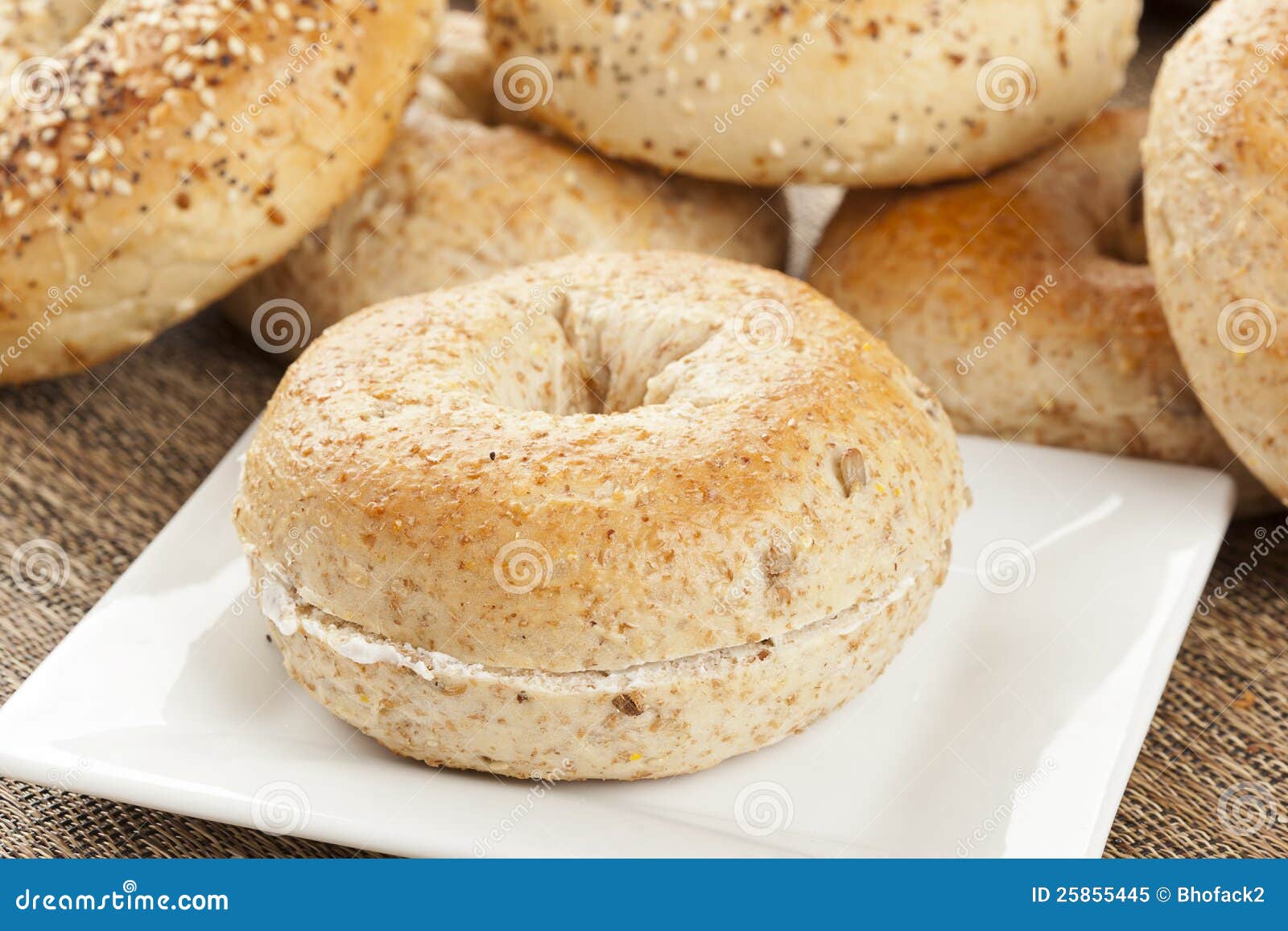 Homemade Fresh Whole Grain Bagel Stock Image Image of baked, food