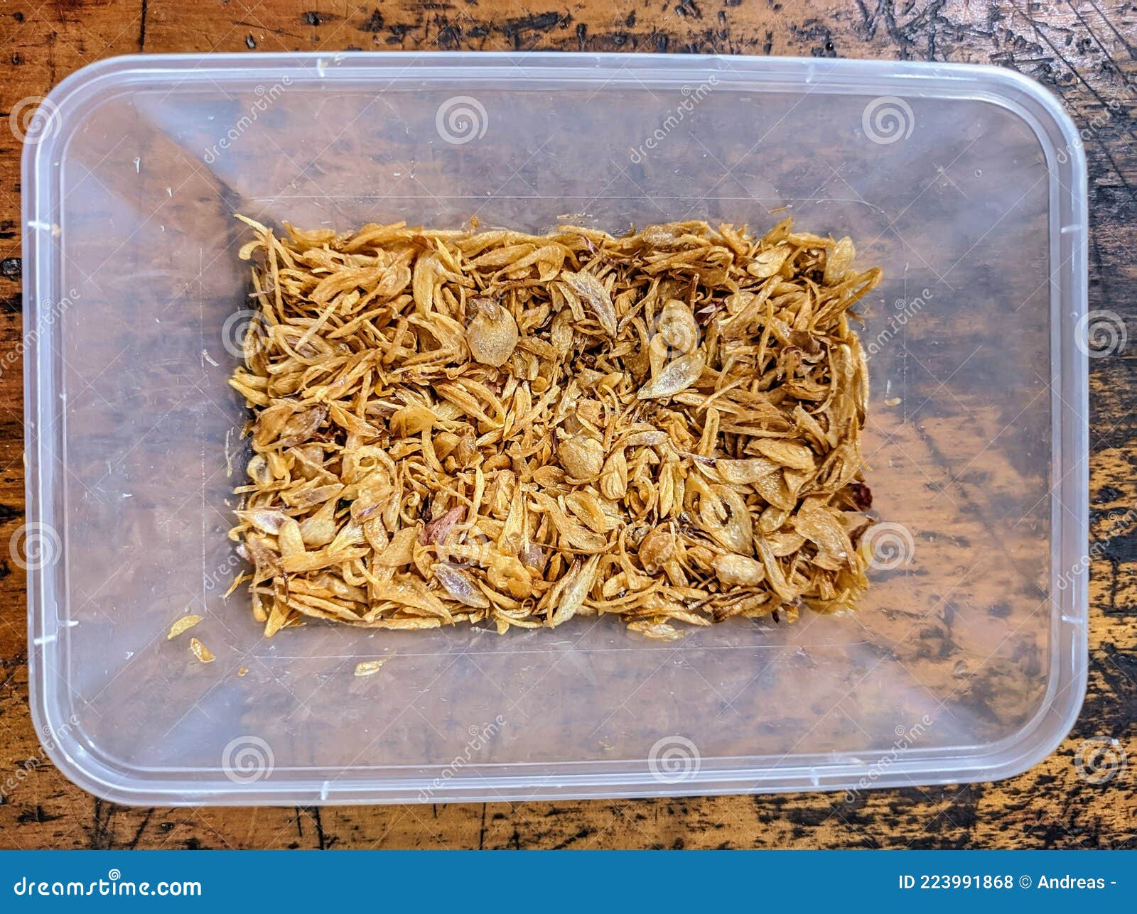 Homemade Fried Onions in a Plastic Container Stock Photo Image of