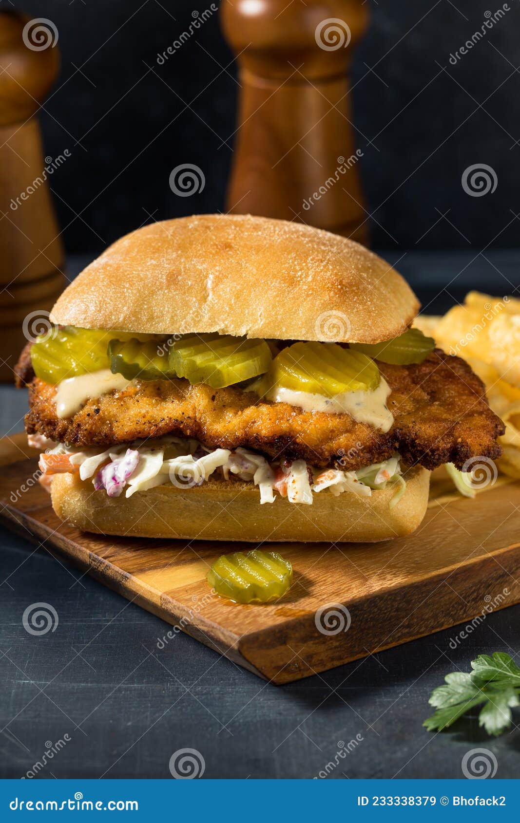 Homemade German Chicken Schnitzel Sandwich Stock Image Image of onion