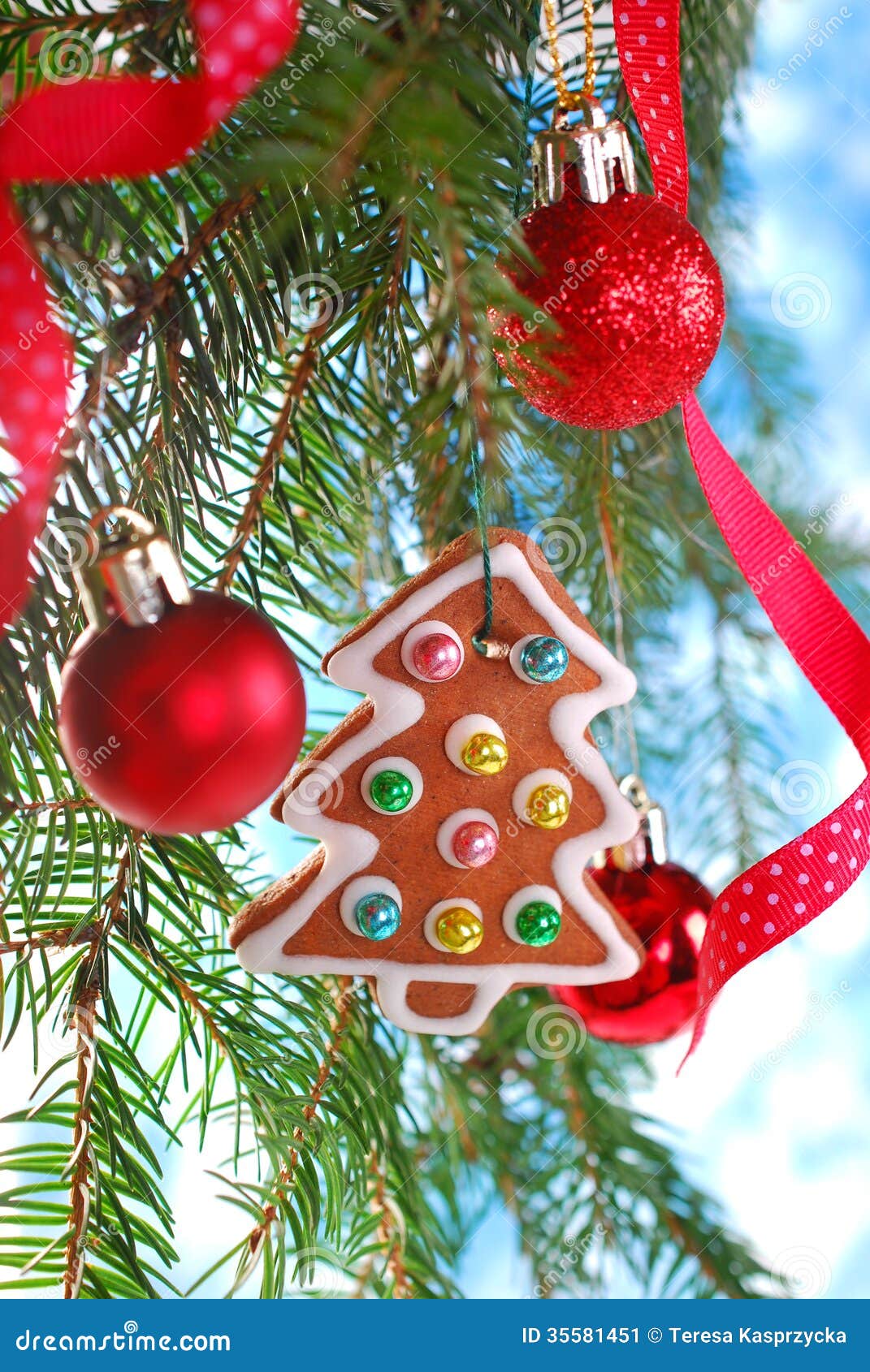 Homemade Gingerbread Cookie Hanging on Christmas Tree Stock Image