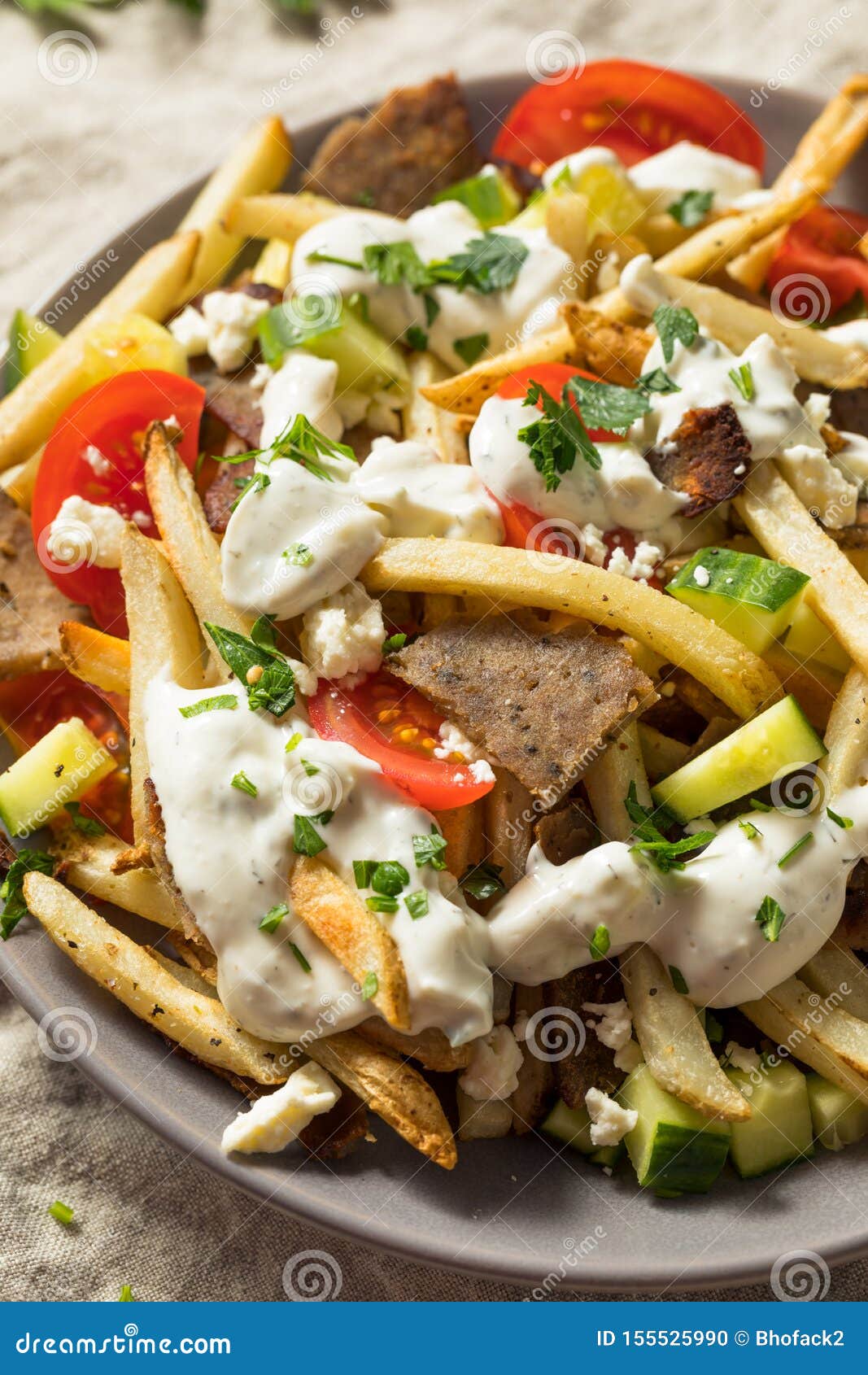 Homemade Greek Gyro Meat French Fries Stock Photo - Image of sauce ...