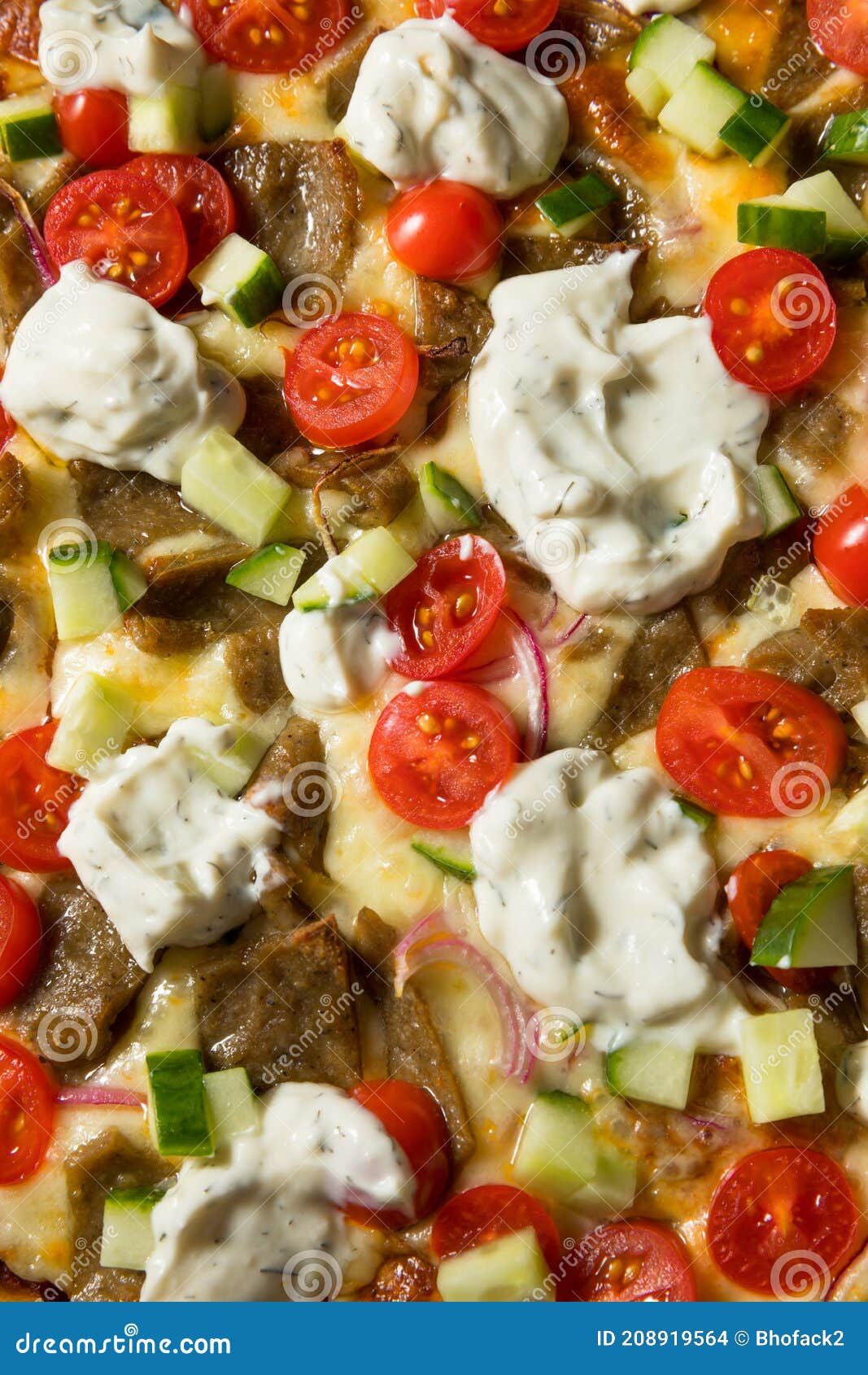 Homemade Greek Gyro PIzza stock photo. Image of pizza - 208919564