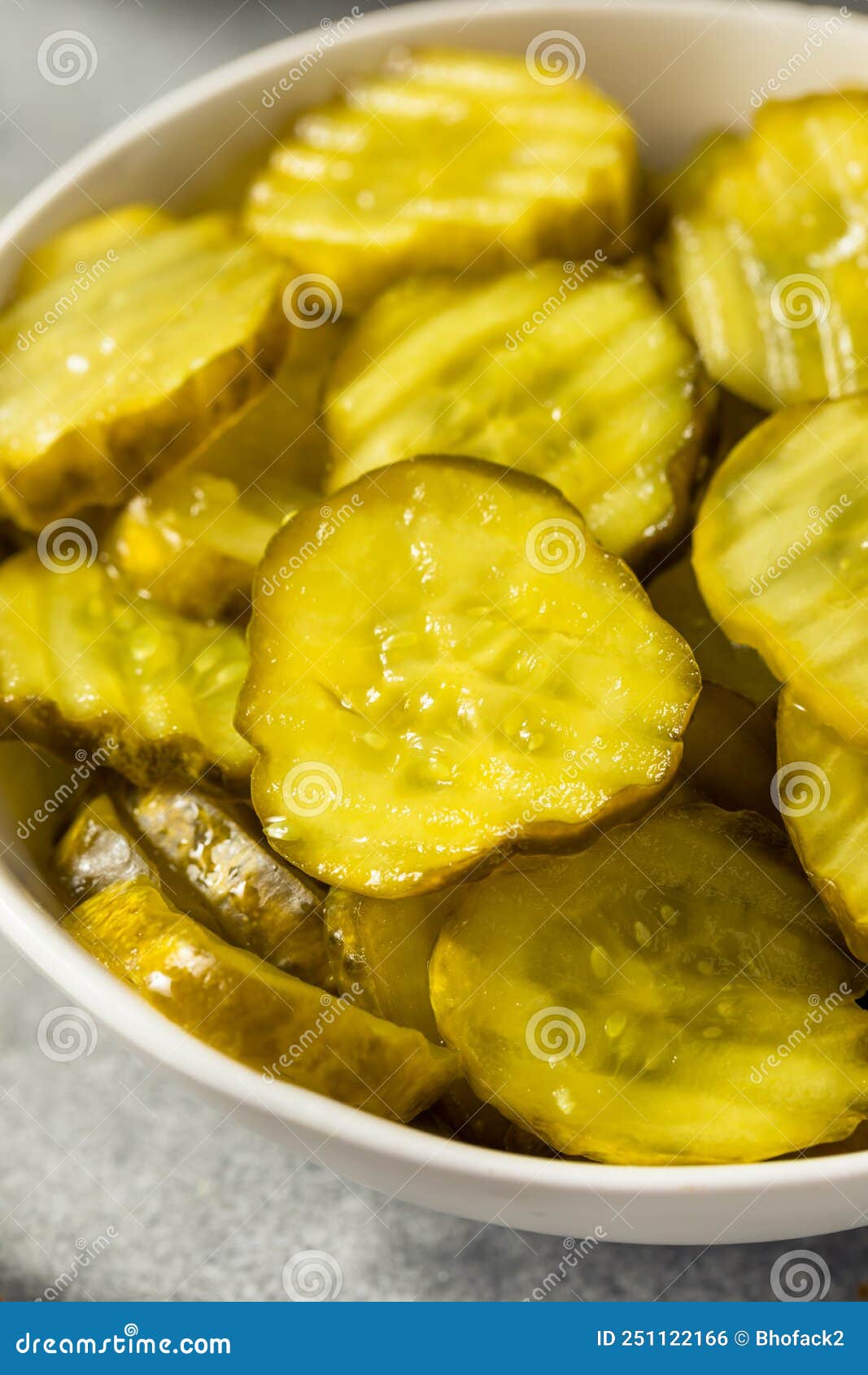 Homemade Green Dill Pickles Stock Photo Image of pickled, salty 251122166