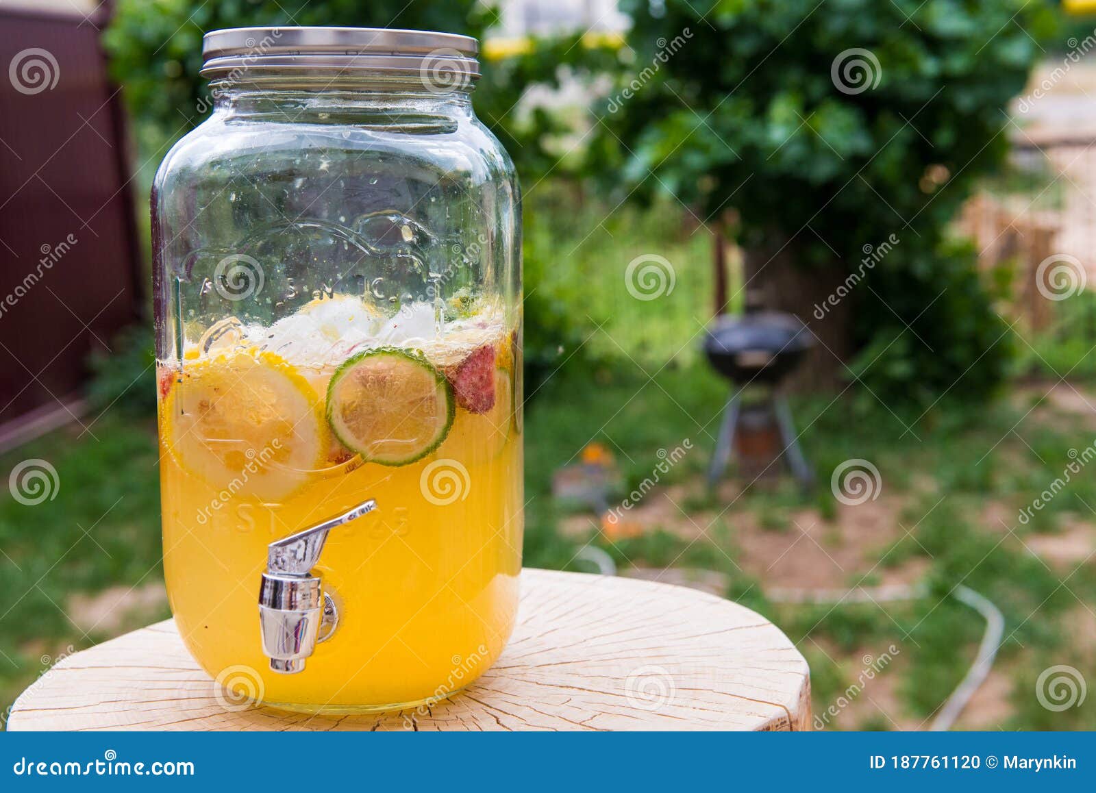 Homemade Lemonade with Lemon and Berries on a Log Stock Photo Image