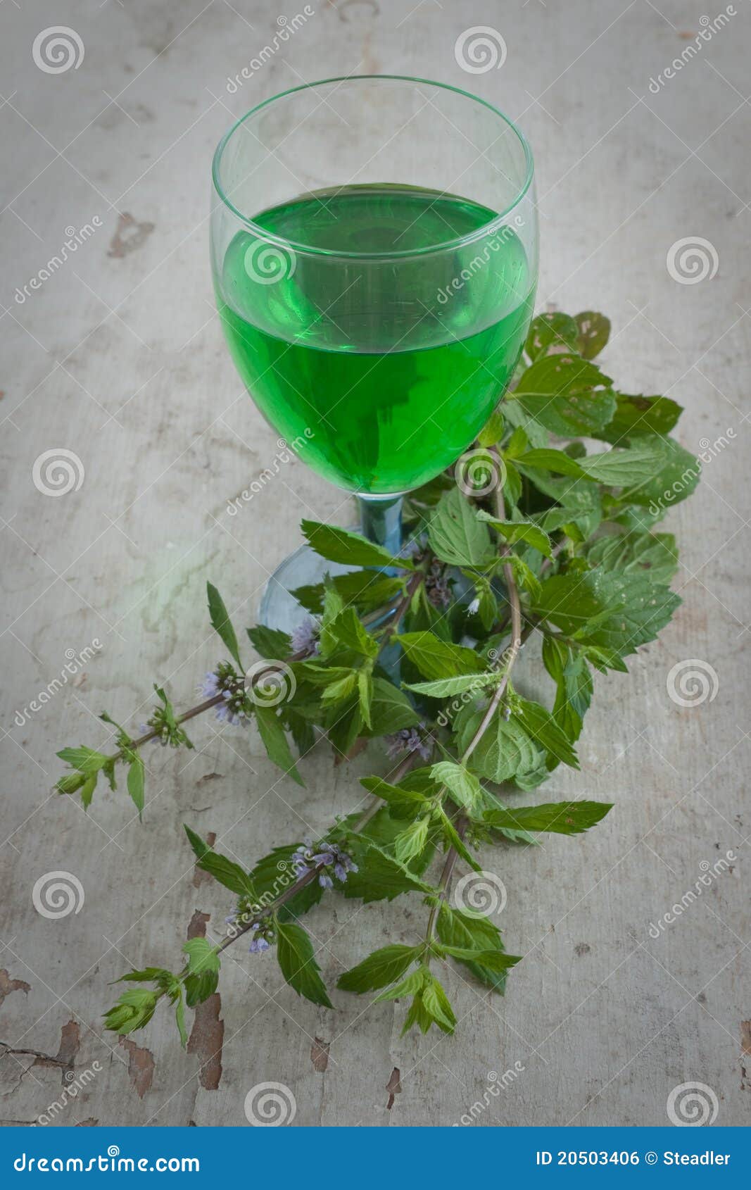 Homemade mint drink stock photo. Image of drink, vitamin 20503406
