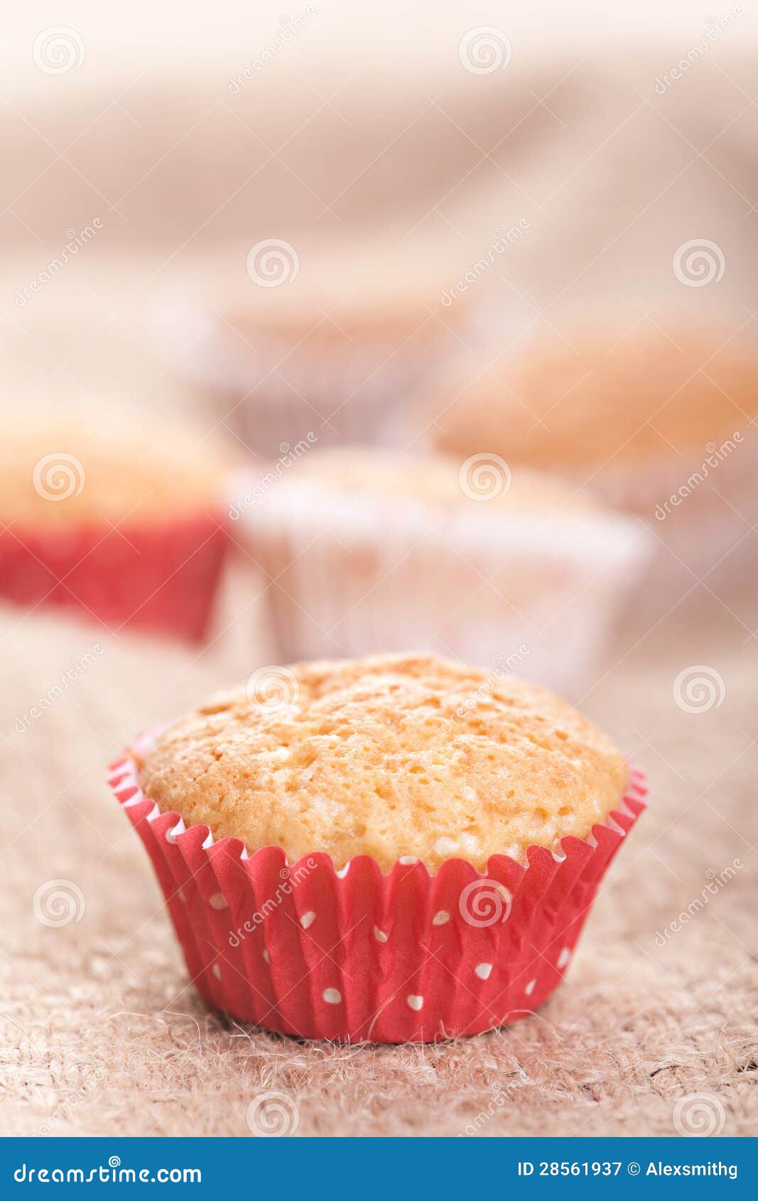 Homemade muffins stock image. Image of sweet, foodstuff 28561937