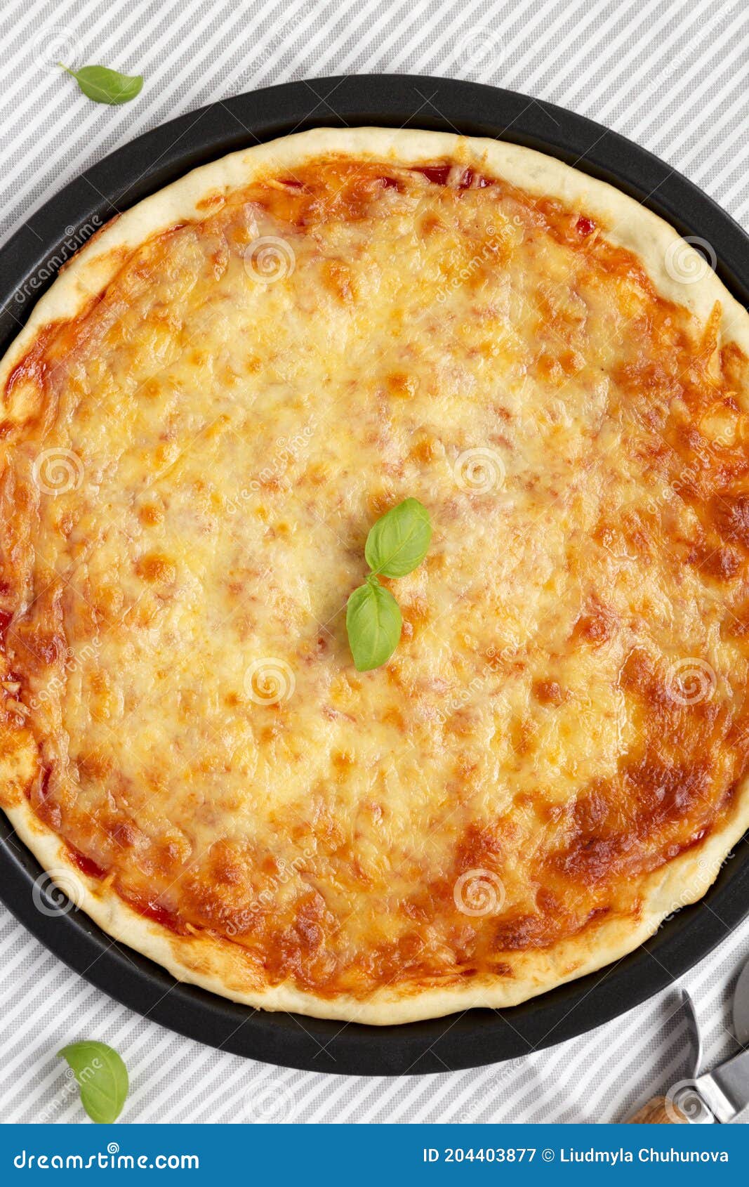 homemade neopolitan pizza with cheese and basil, overhead view. flat lay, top view, from above