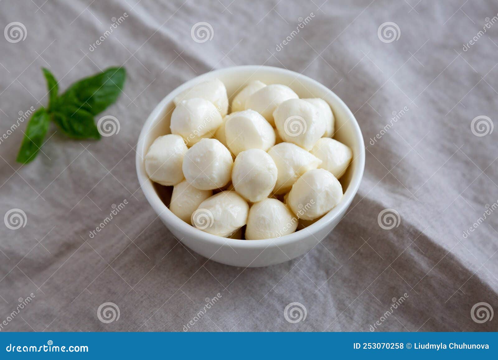 Homemade Organic Mozzarella Cheese in a Bowl, Side View Stock Photo Image of bowl, food 253070258